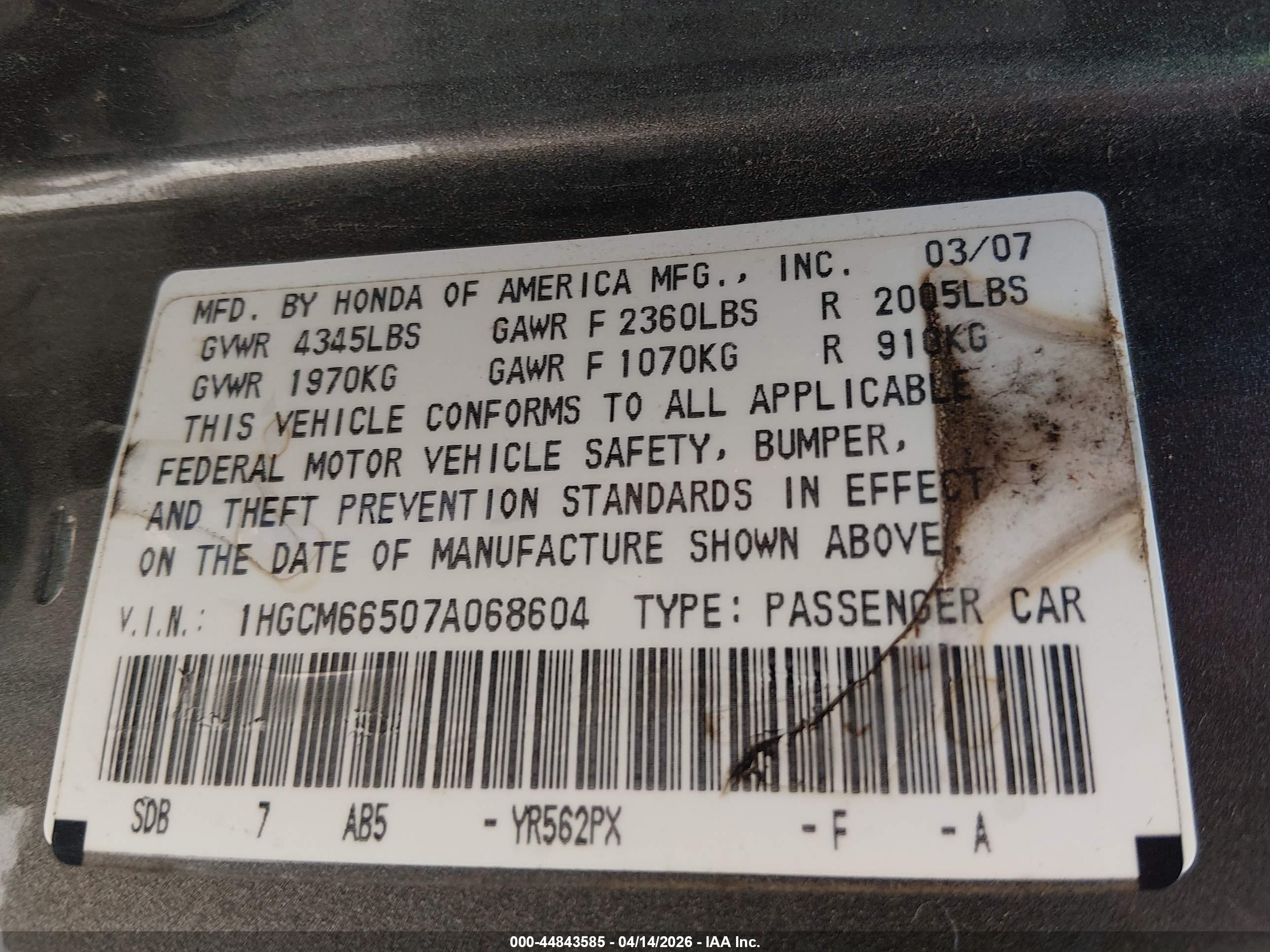 HONDA ACCORD image 9