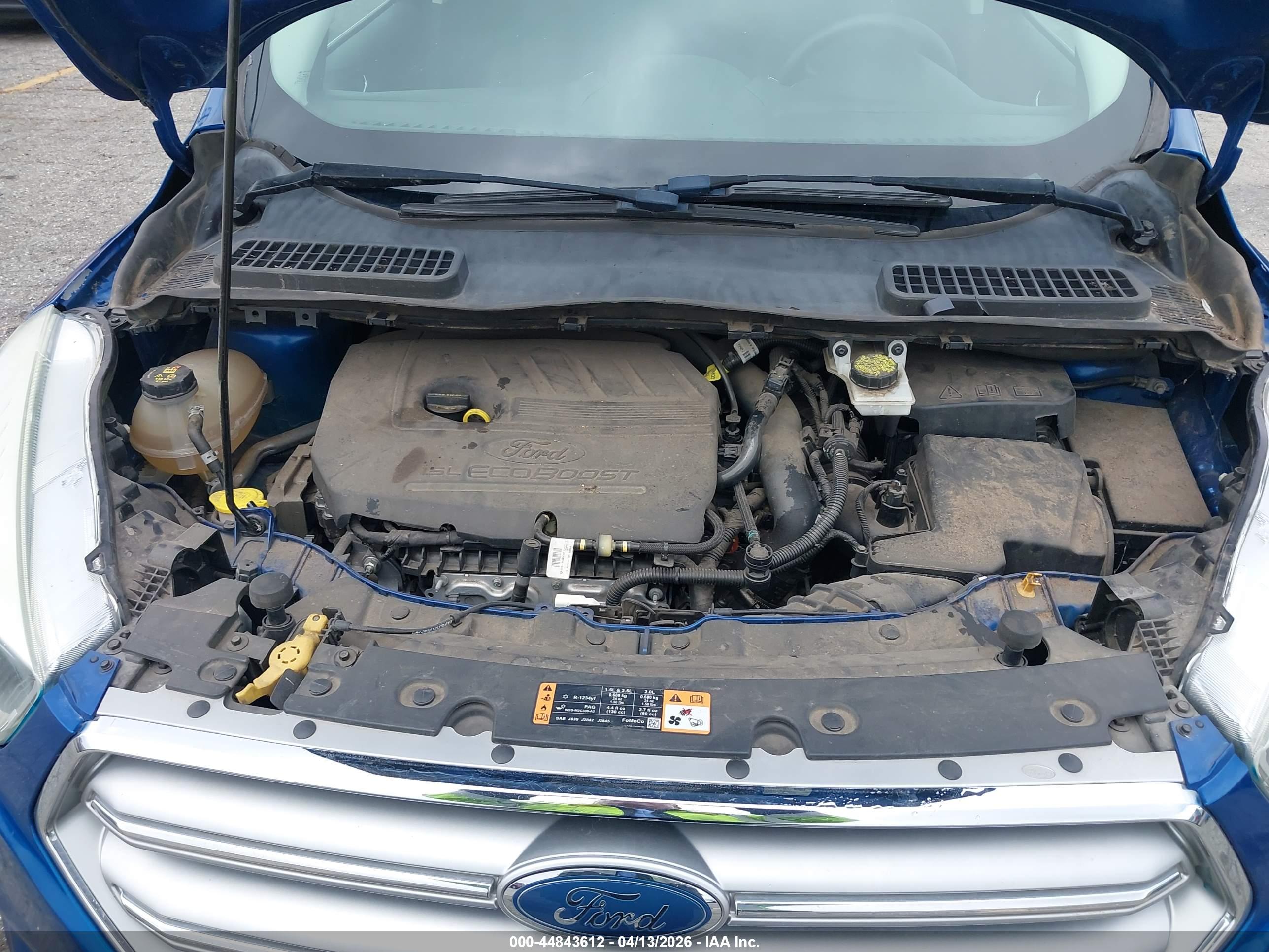 FORD ESCAPE image 10