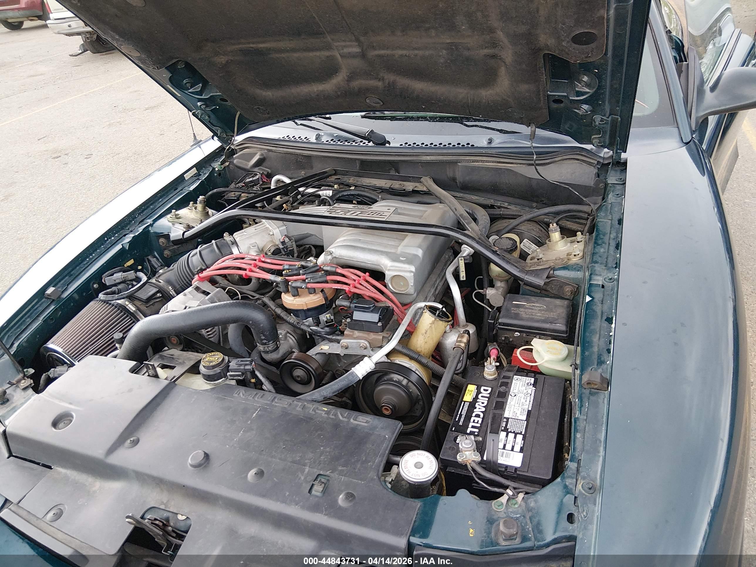 FORD MUSTANG image 10
