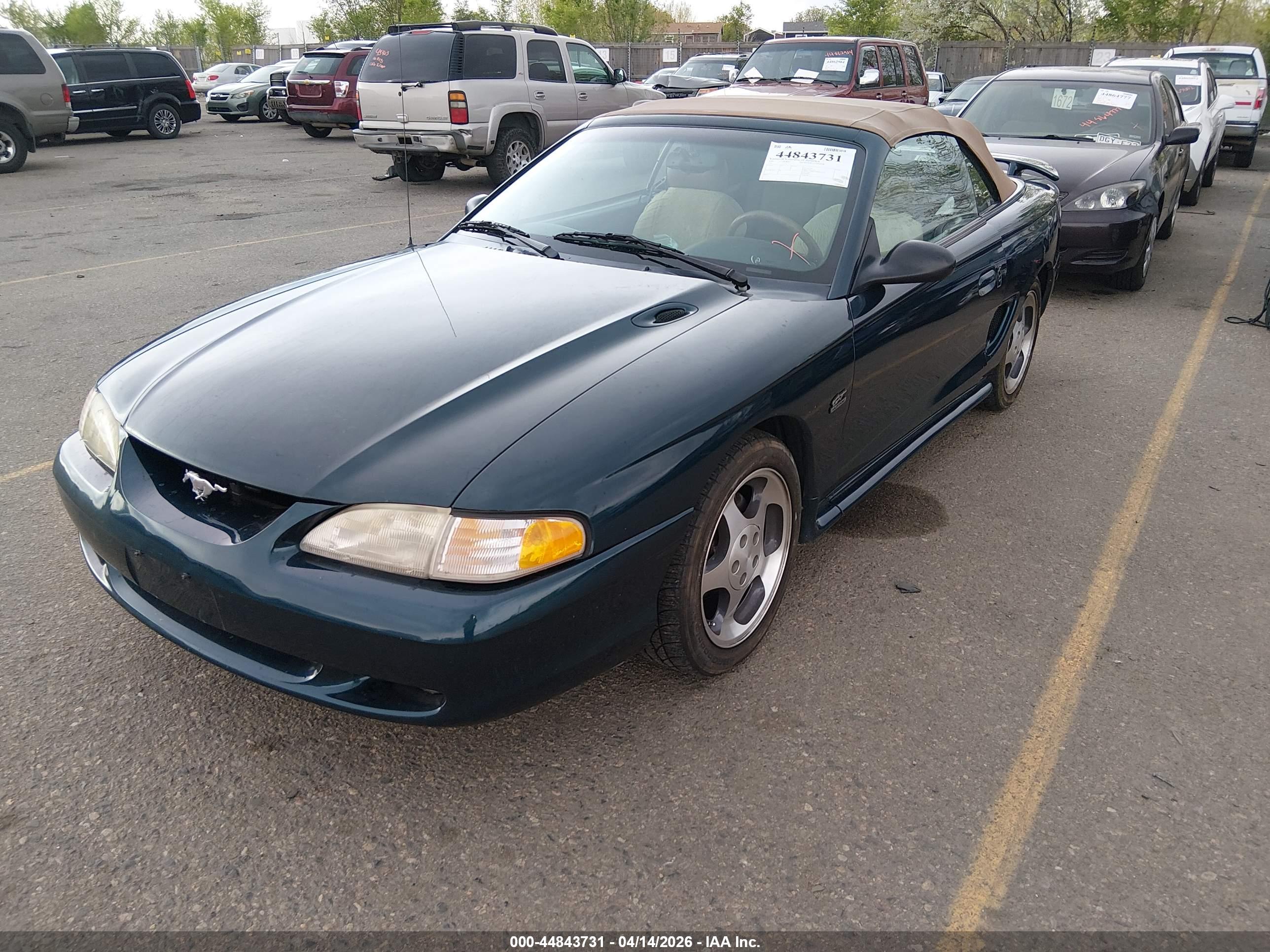 FORD MUSTANG image 2