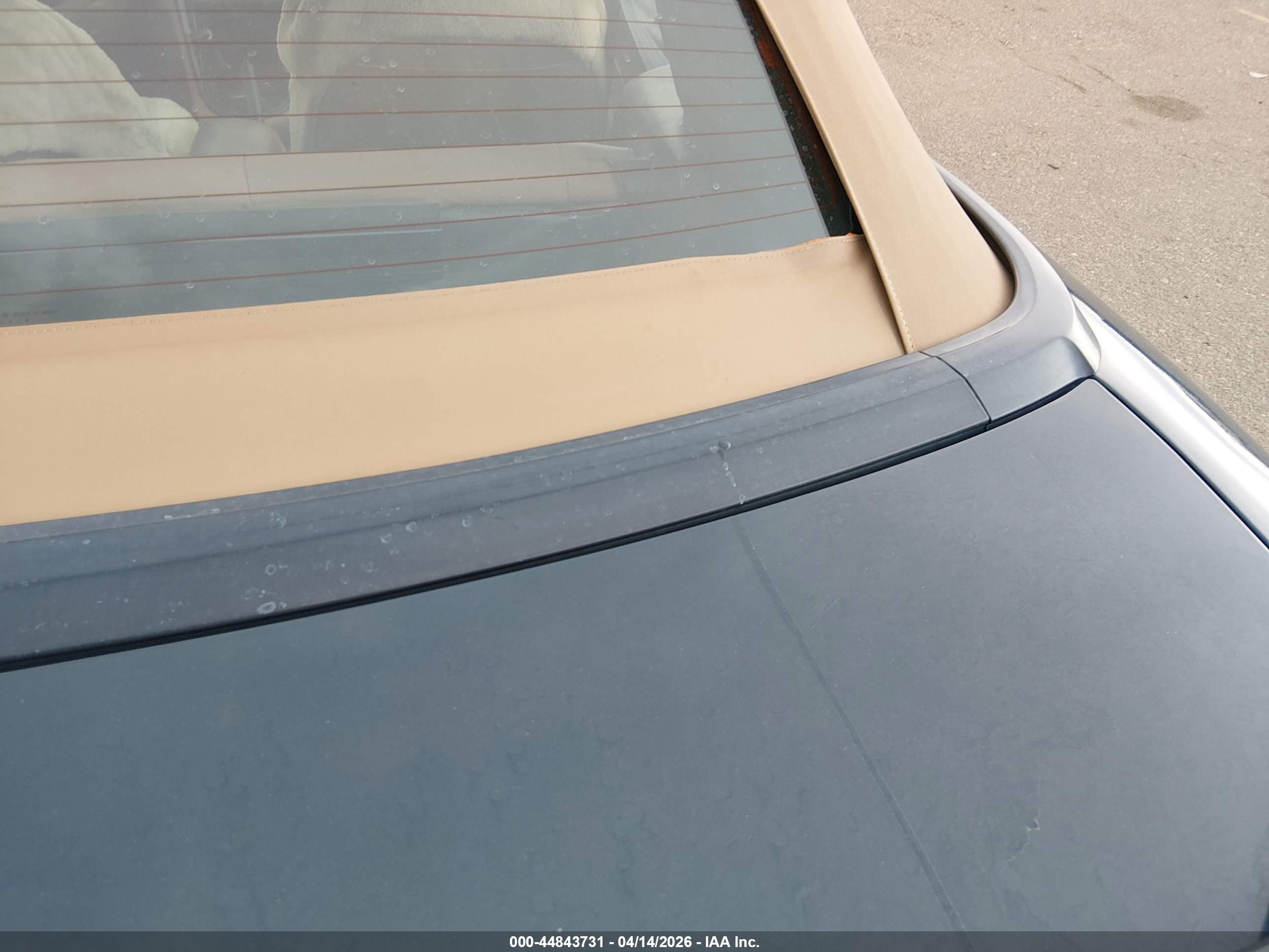 FORD MUSTANG image 6