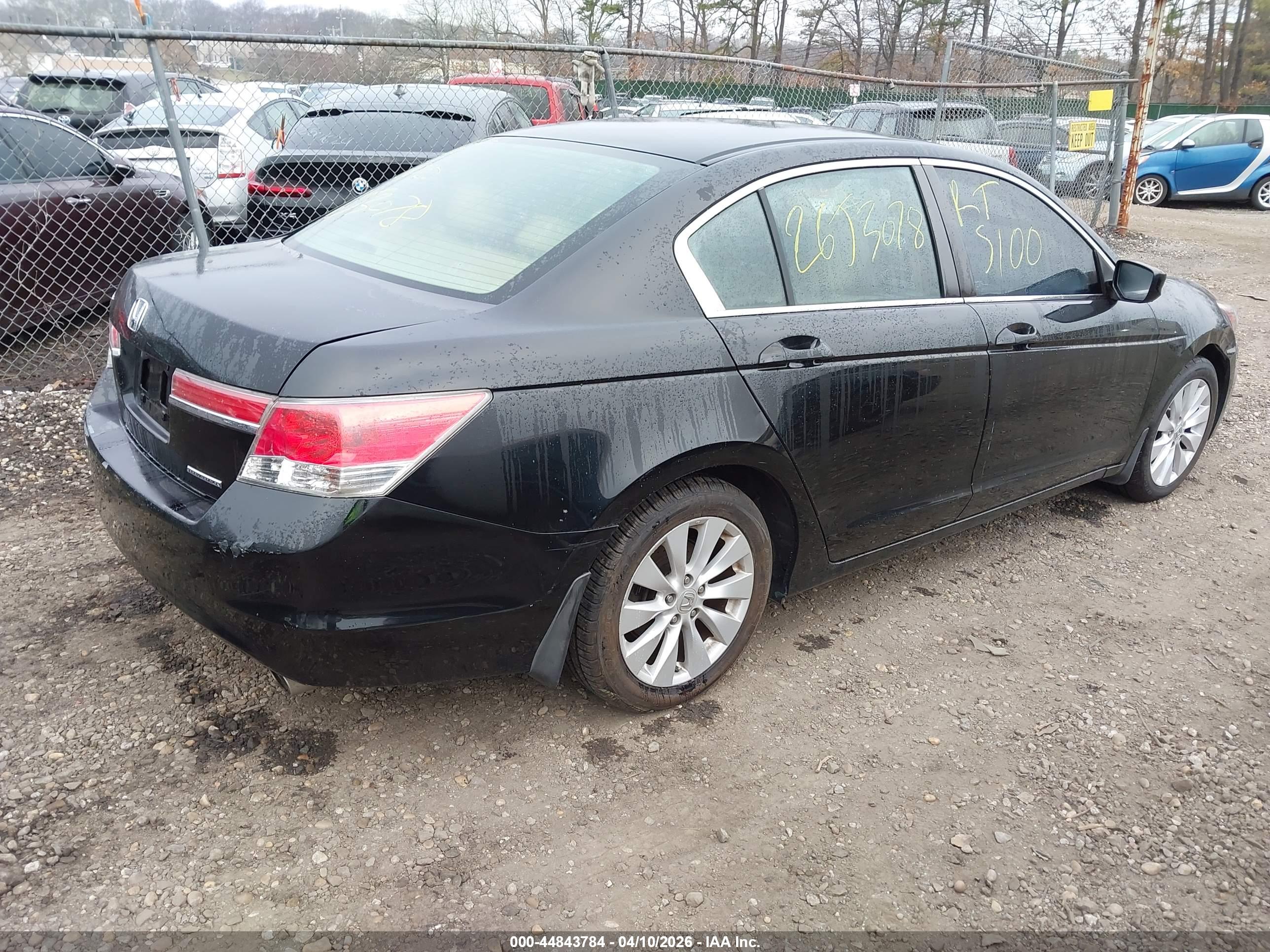 HONDA ACCORD image 4