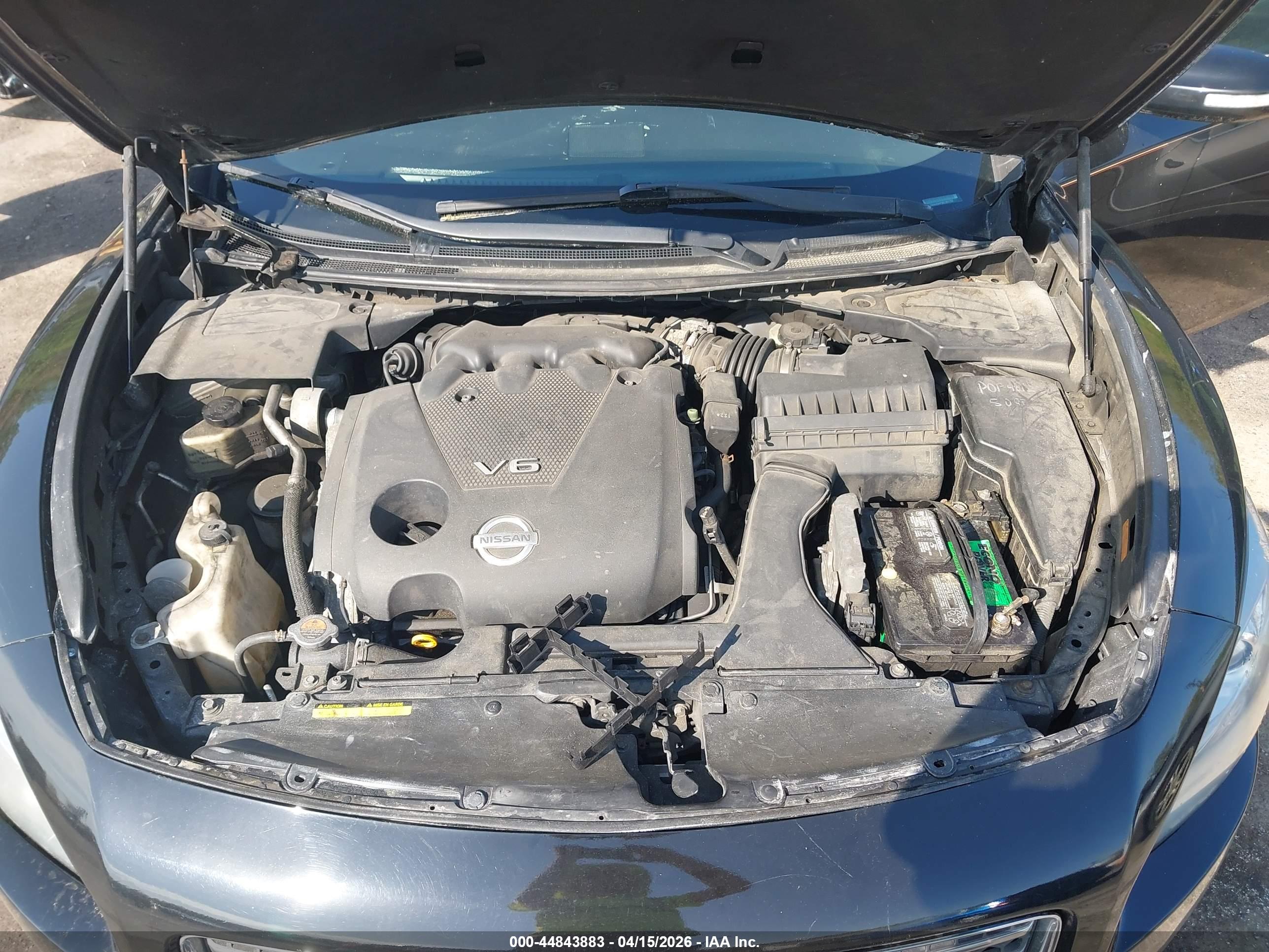 NISSAN MAXIMA image 10