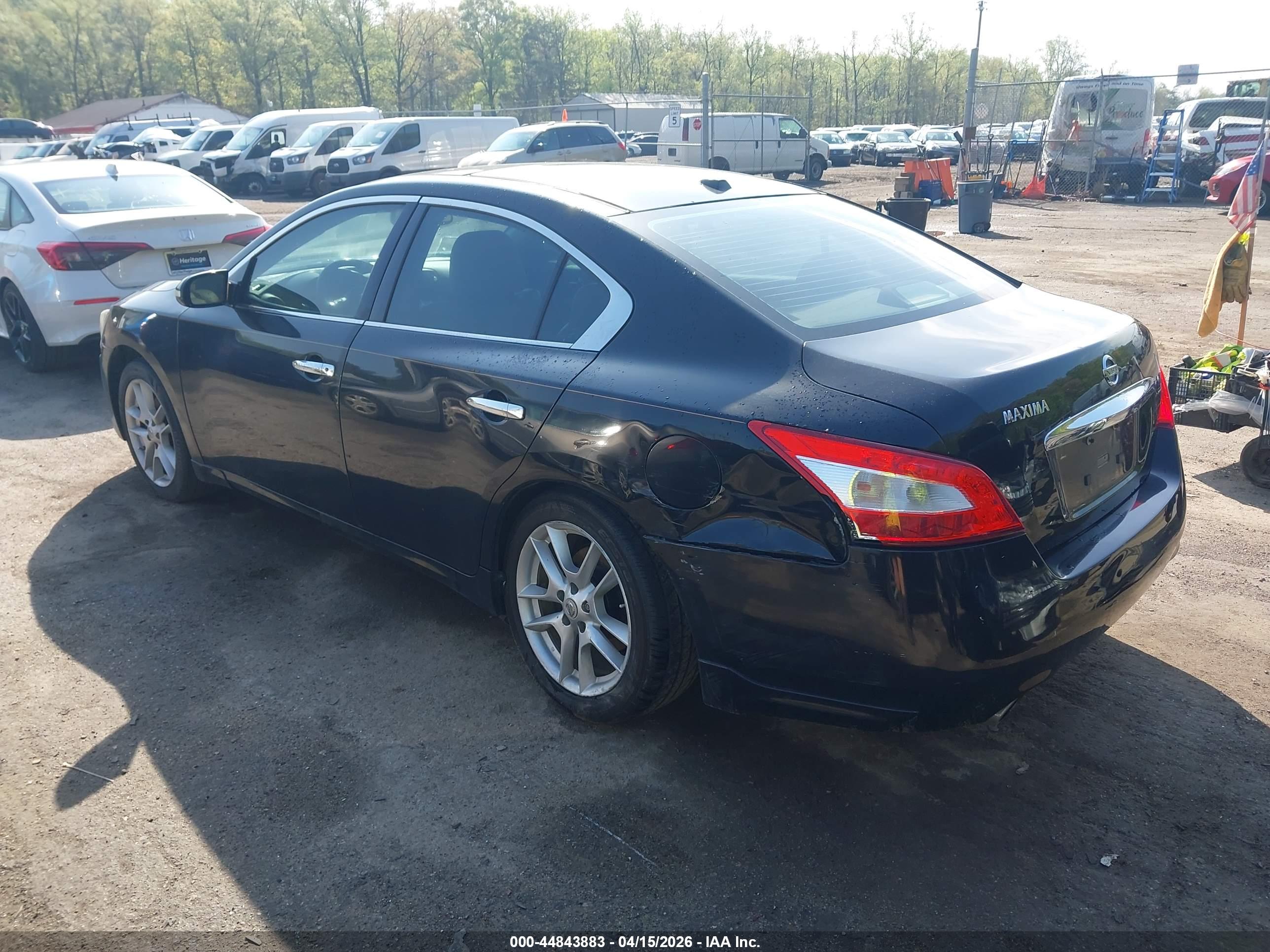 NISSAN MAXIMA image 3