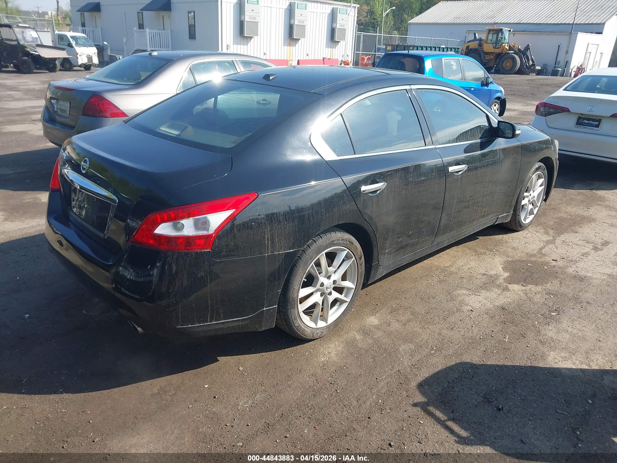 NISSAN MAXIMA image 4