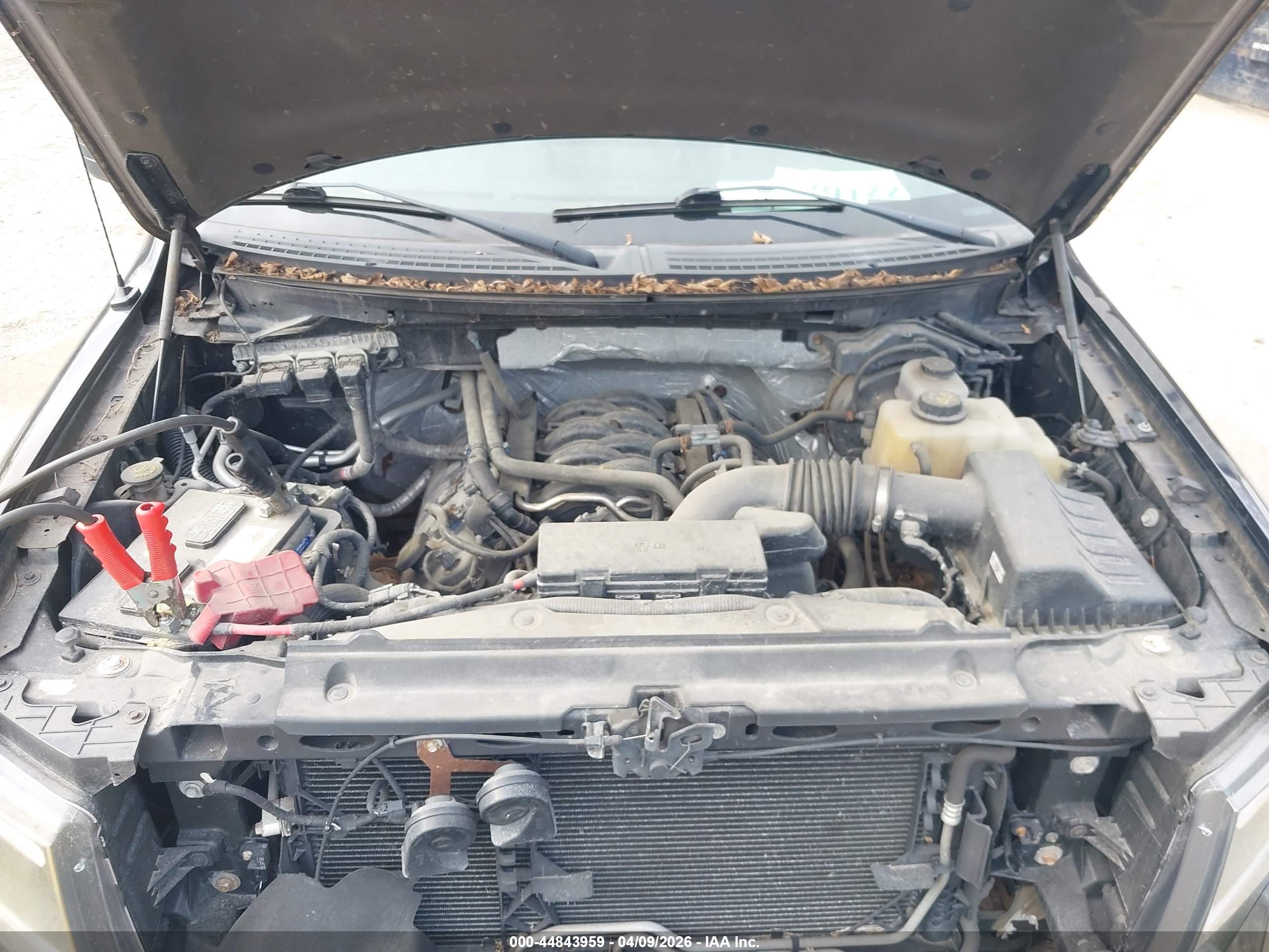 FORD F-150 image 10