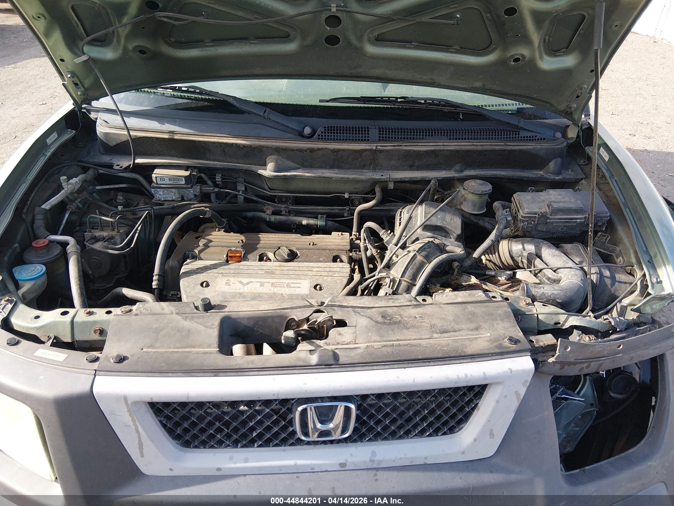 HONDA ELEMENT image 10