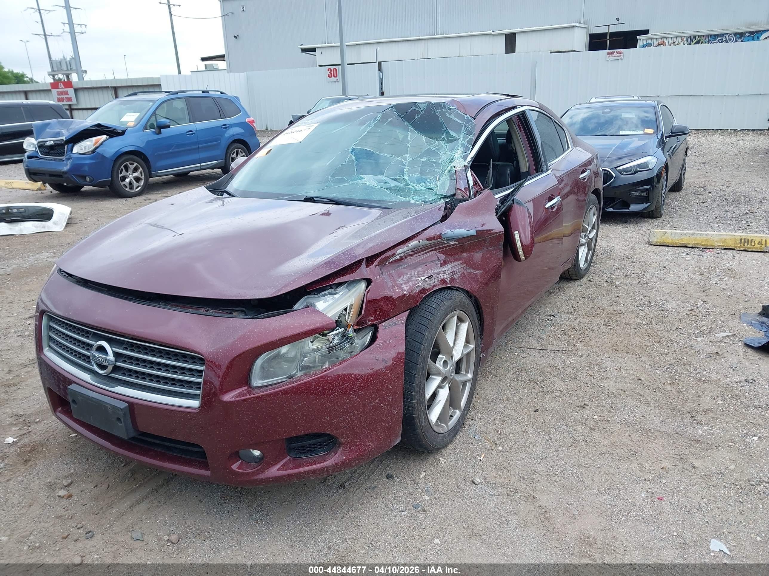 NISSAN MAXIMA image 6