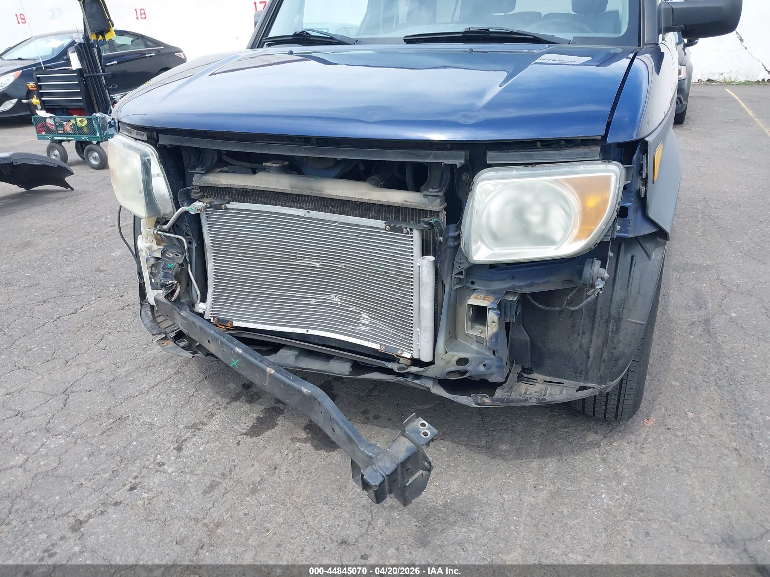 HONDA ELEMENT image 6