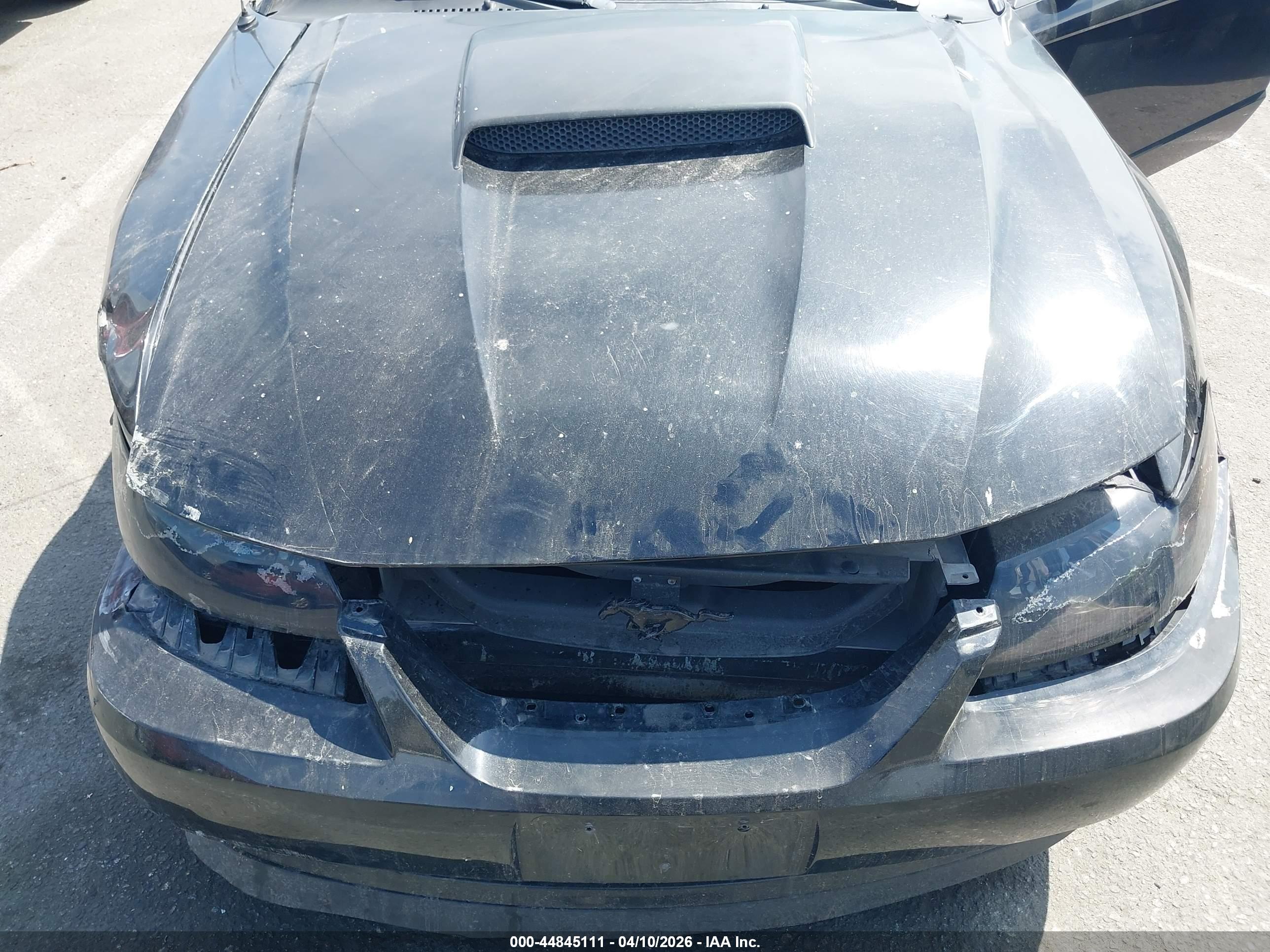 FORD MUSTANG image 10