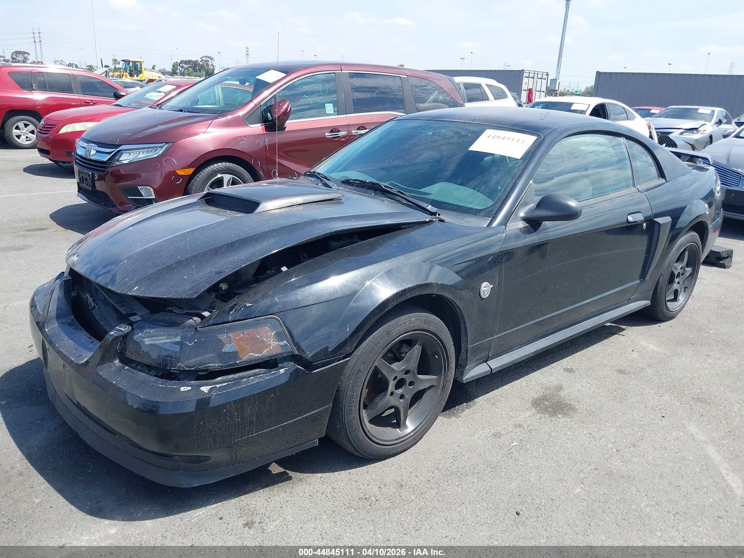 FORD MUSTANG image 2