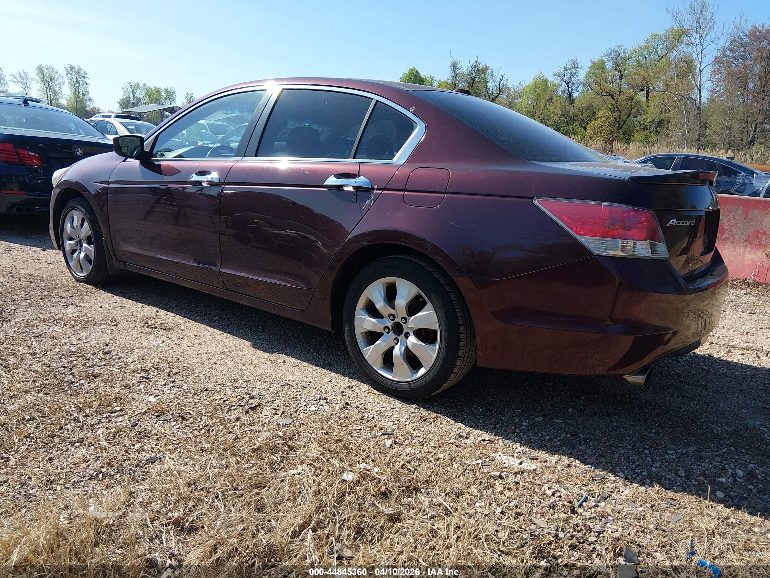 HONDA ACCORD image 3