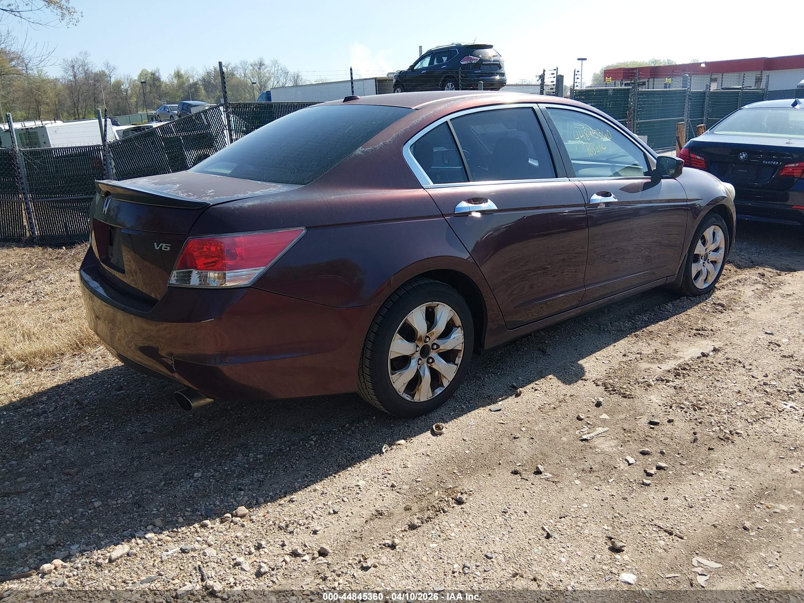 HONDA ACCORD image 4