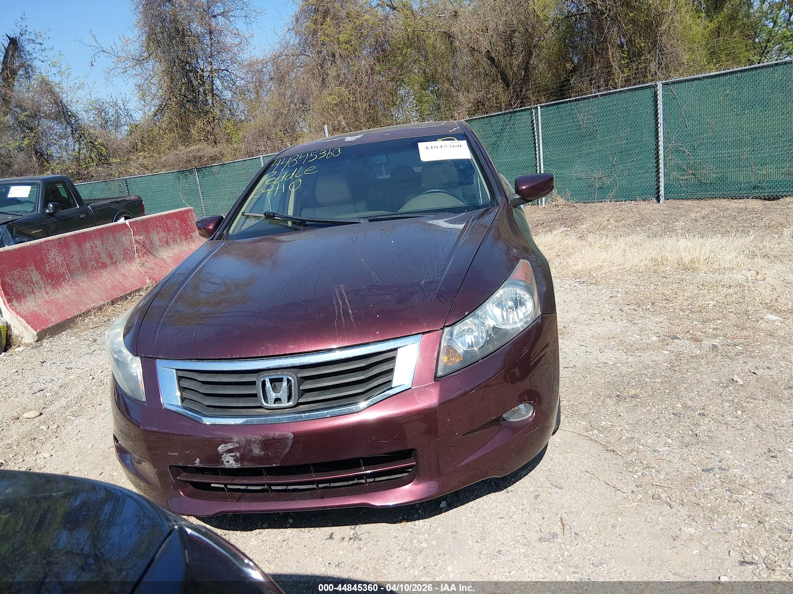 HONDA ACCORD image 6