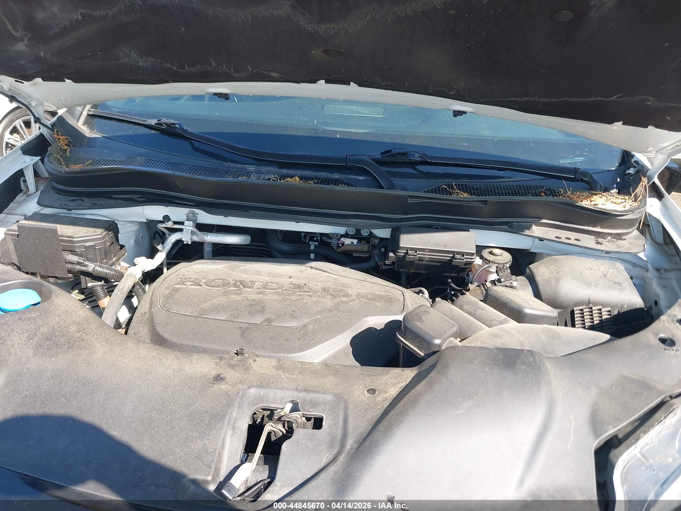 HONDA PASSPORT image 10