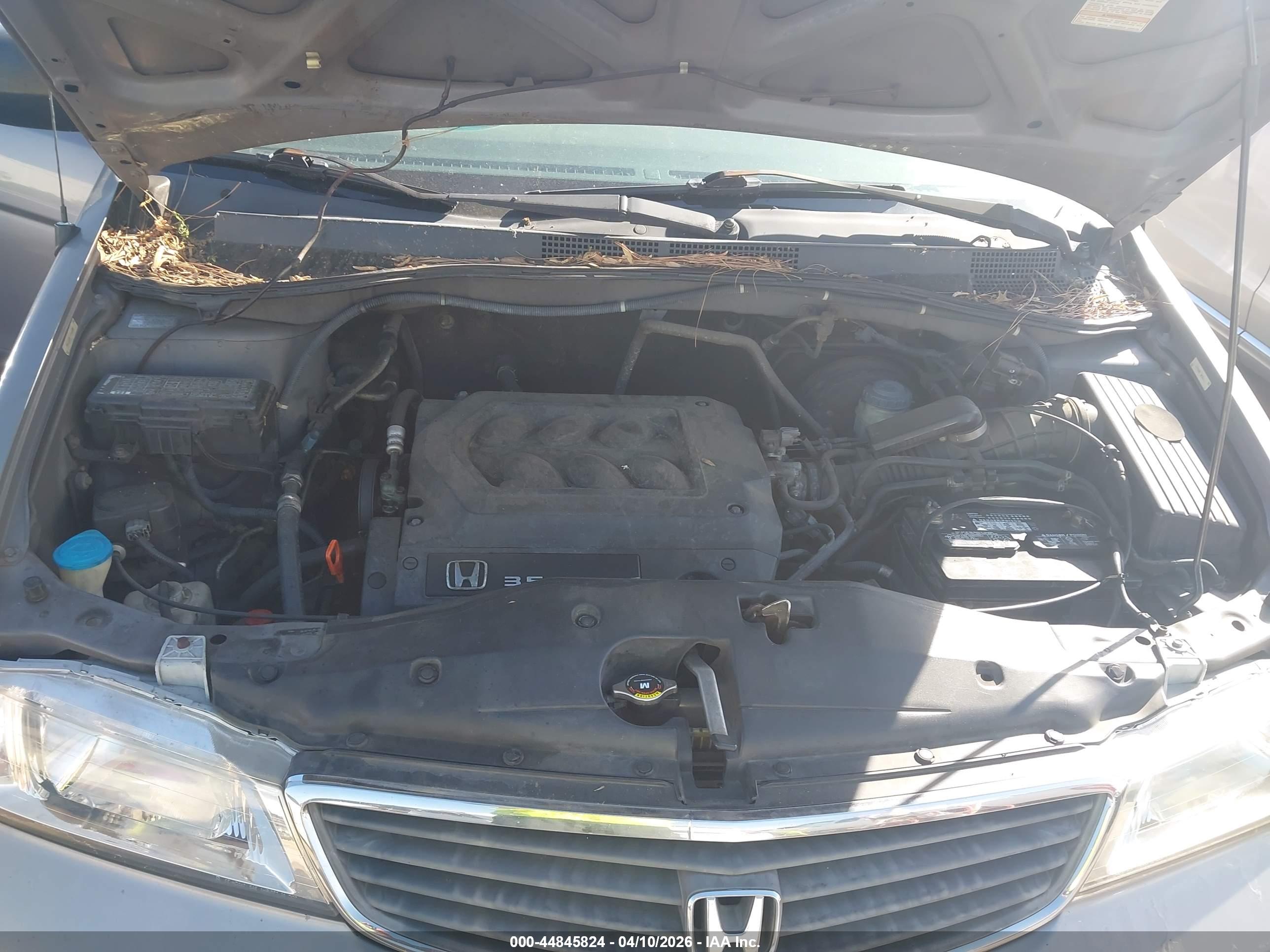 HONDA ODYSSEY image 10