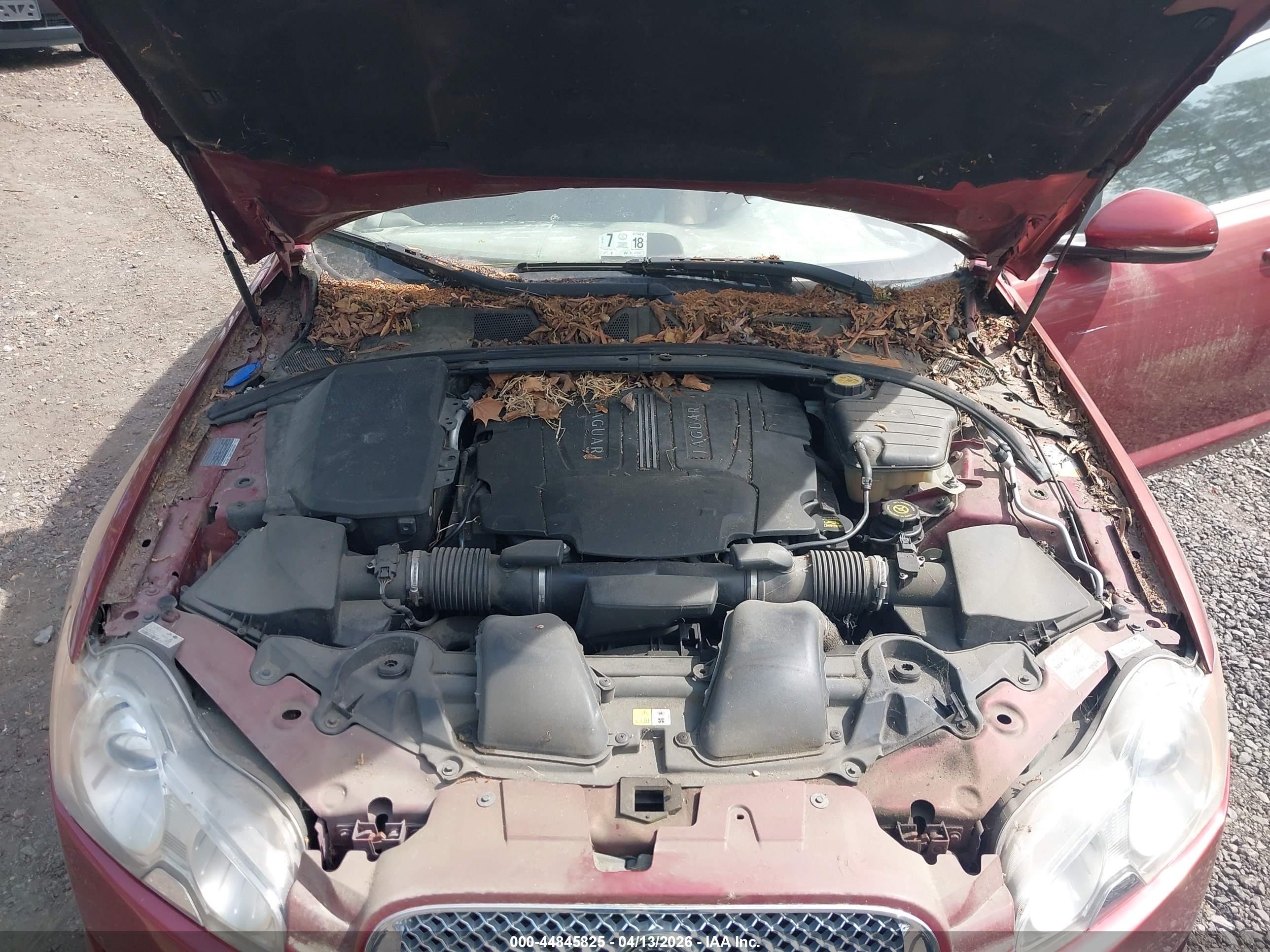 JAGUAR XF image 10