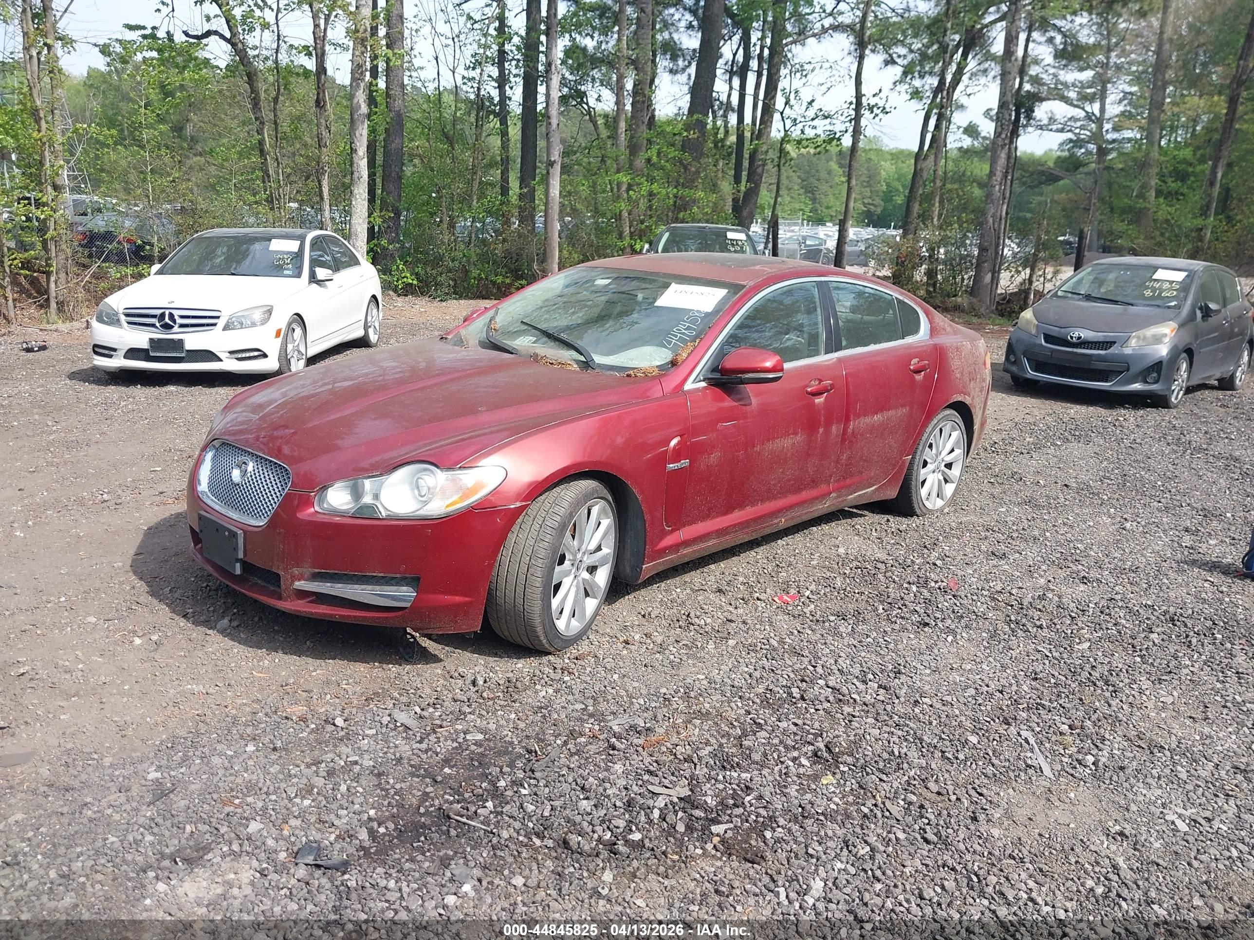 JAGUAR XF image 2