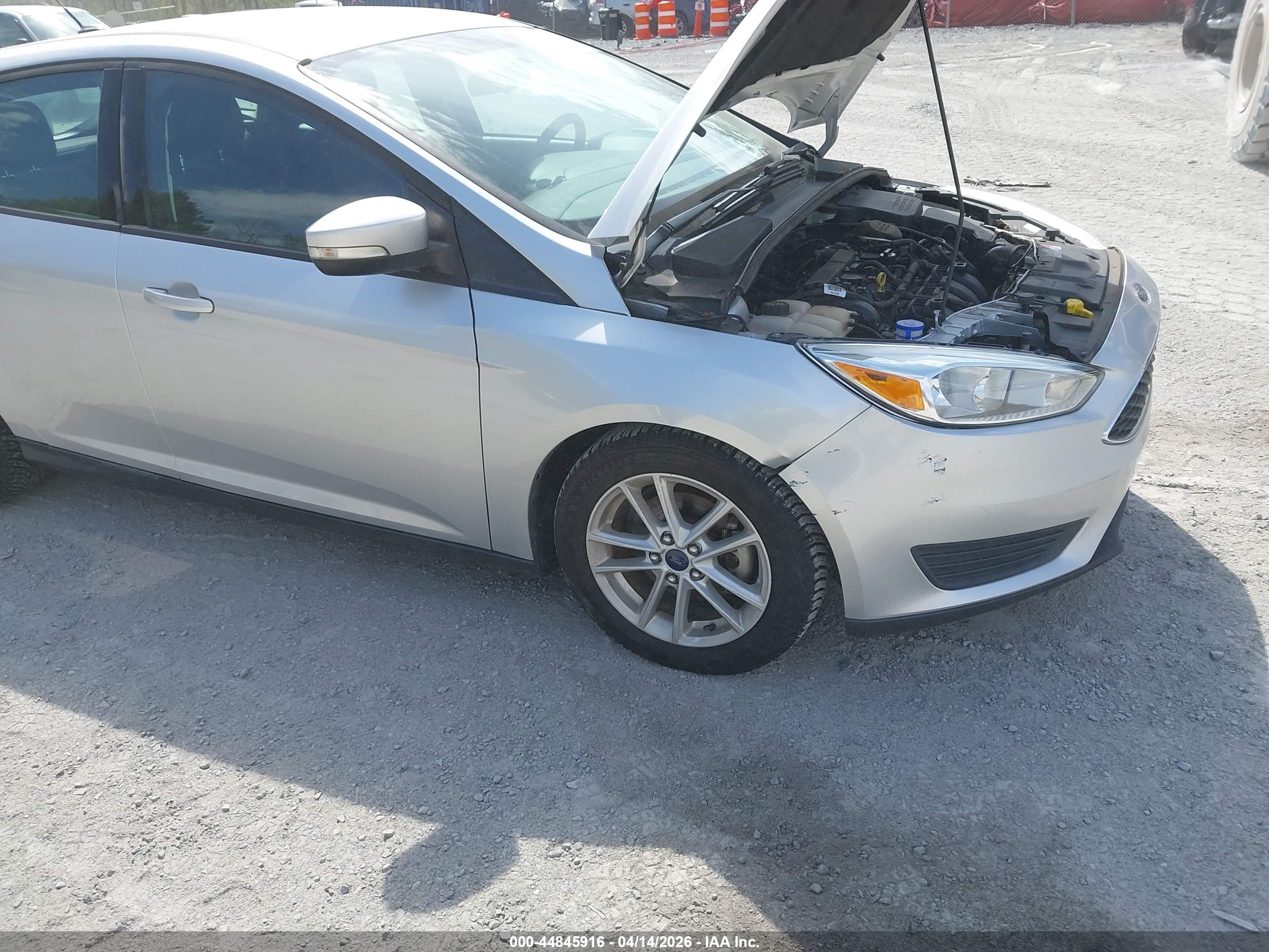 FORD FOCUS image 6