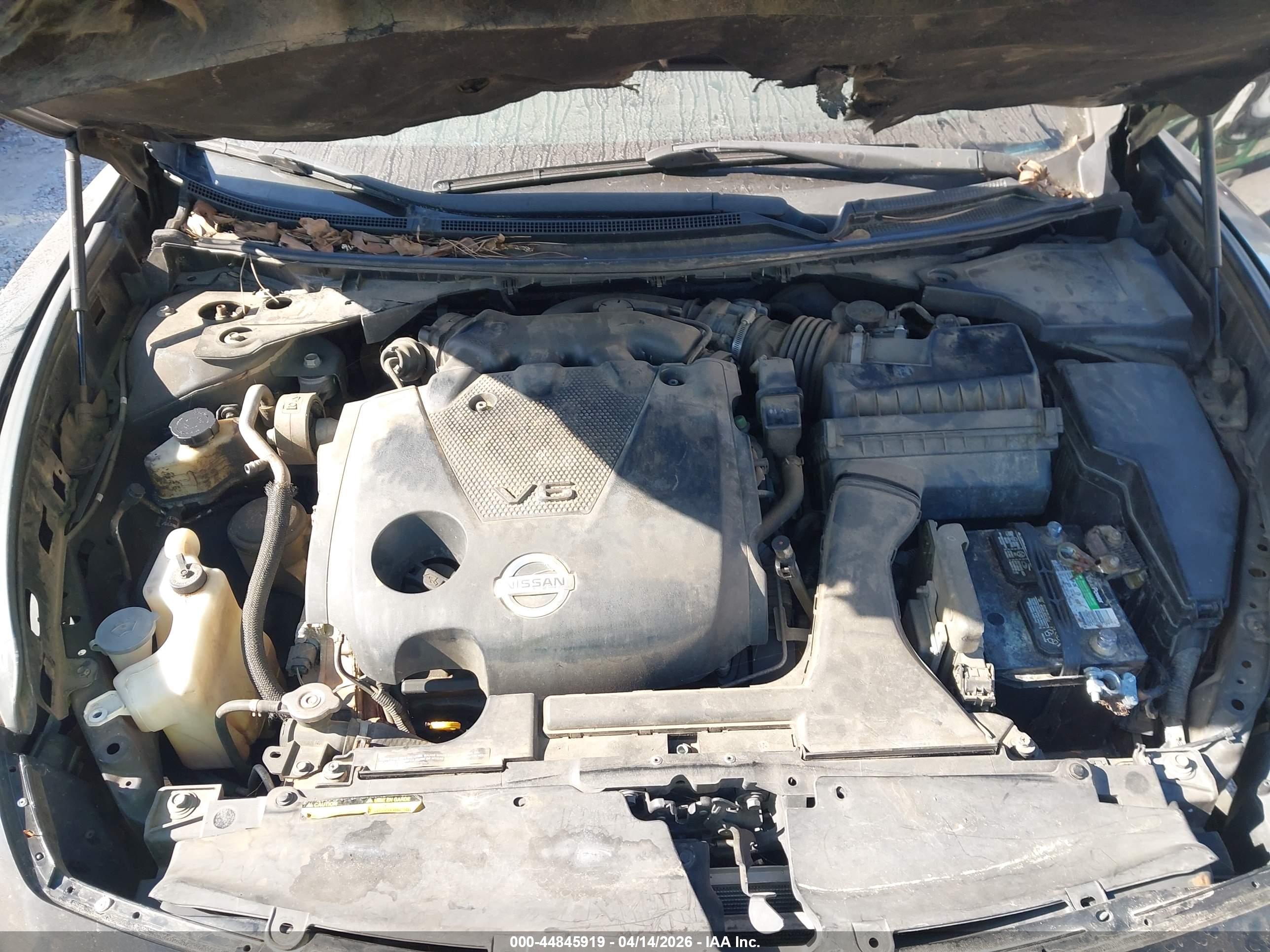 NISSAN MAXIMA image 10