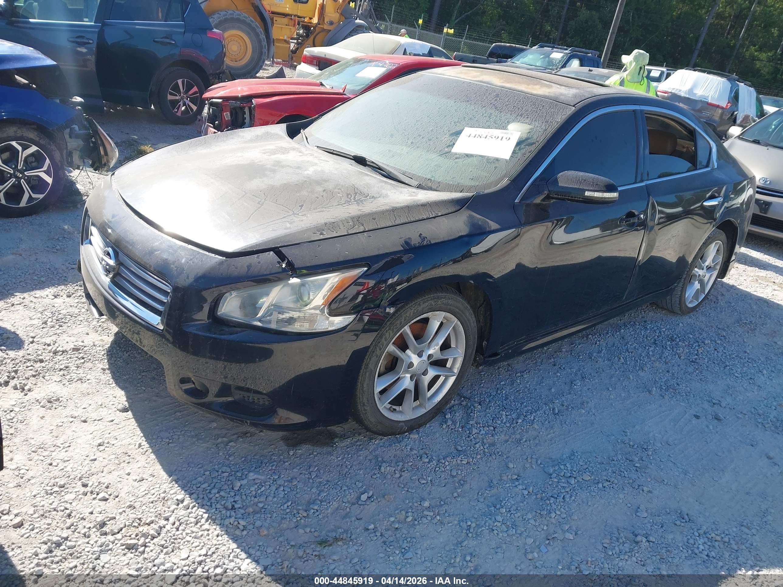 NISSAN MAXIMA image 2