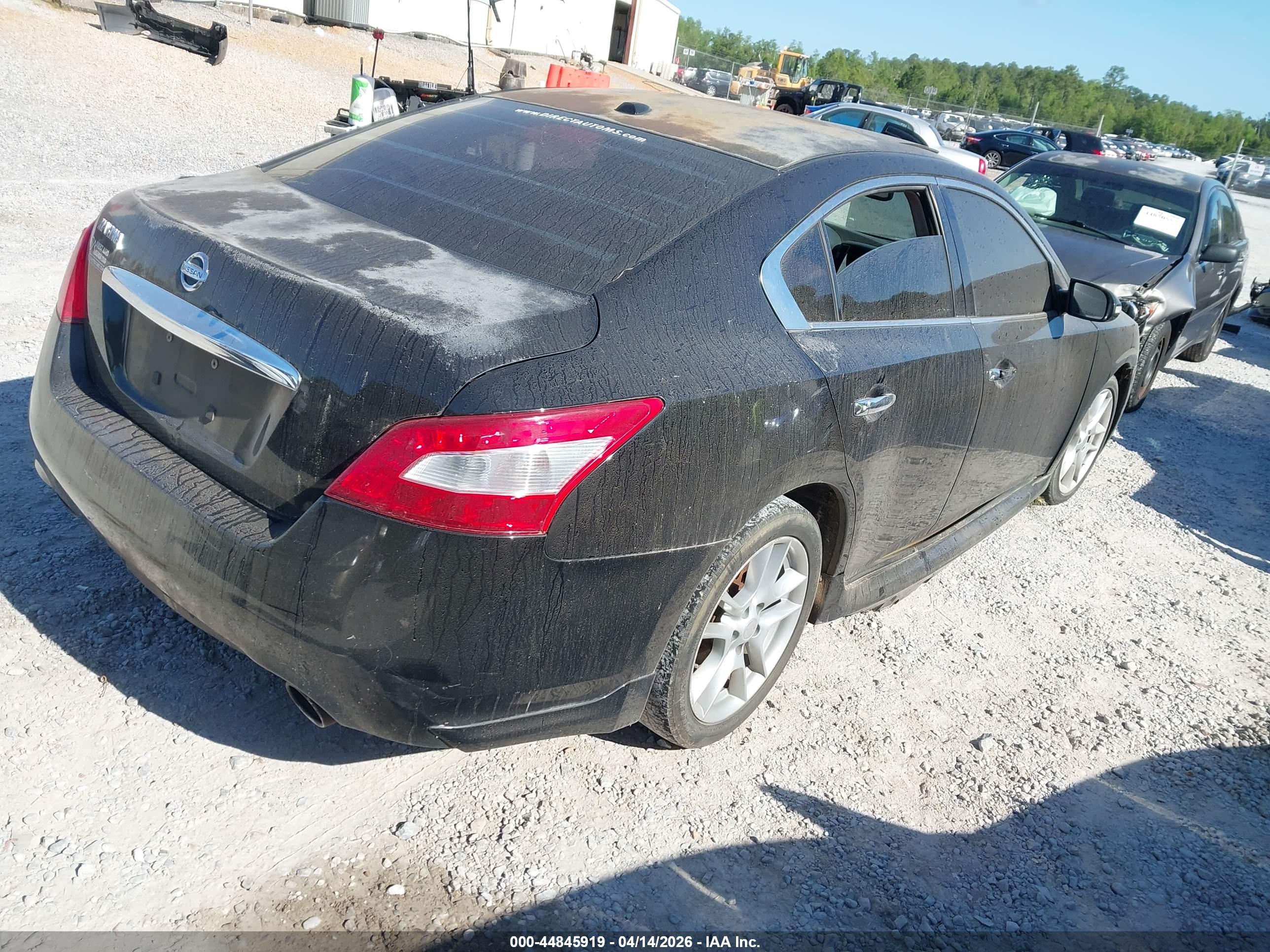 NISSAN MAXIMA image 4