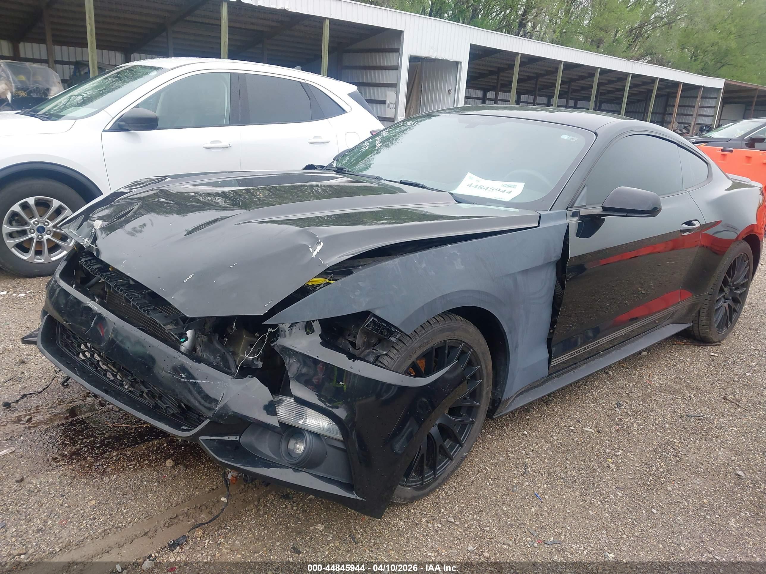 FORD MUSTANG image 2