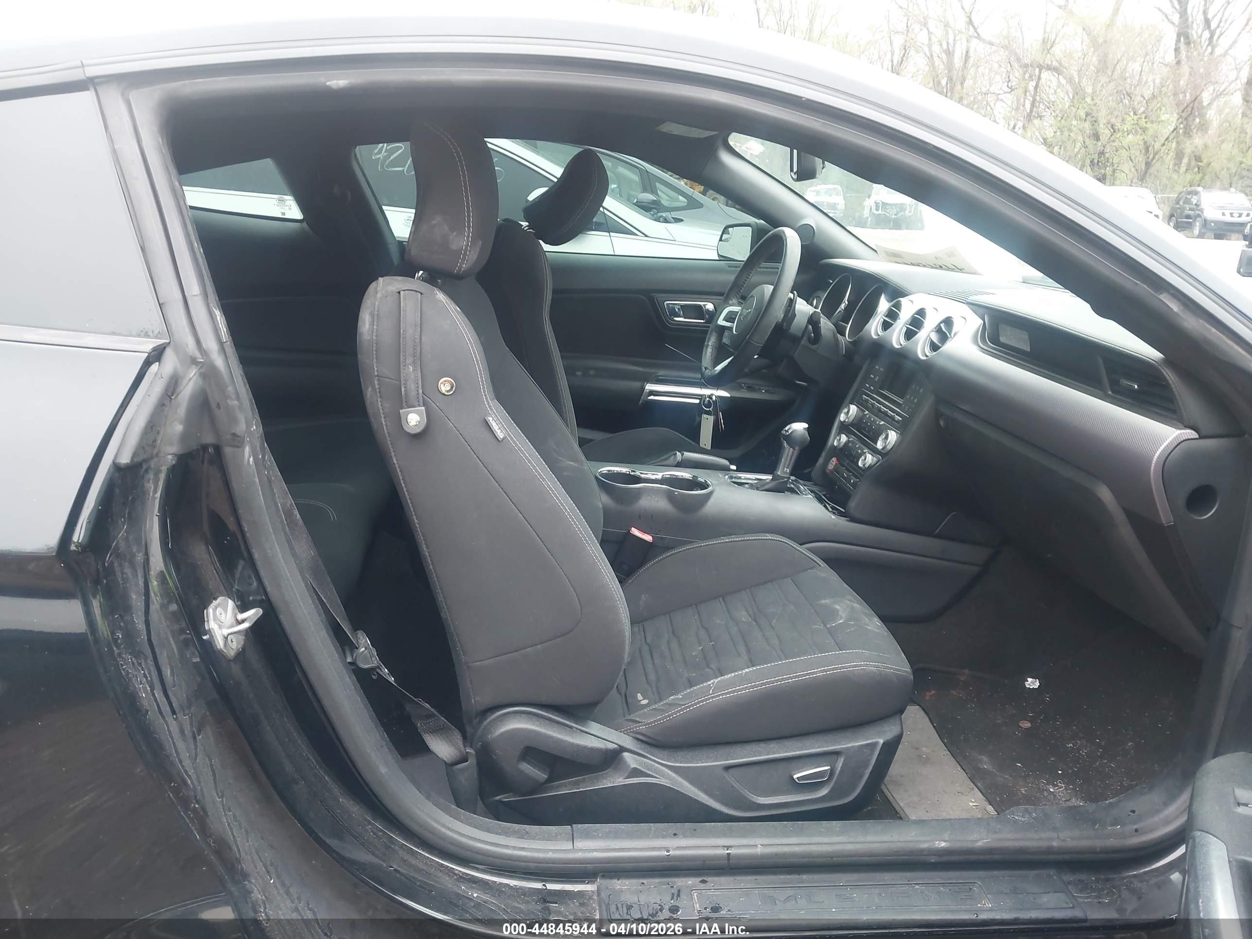 FORD MUSTANG image 5