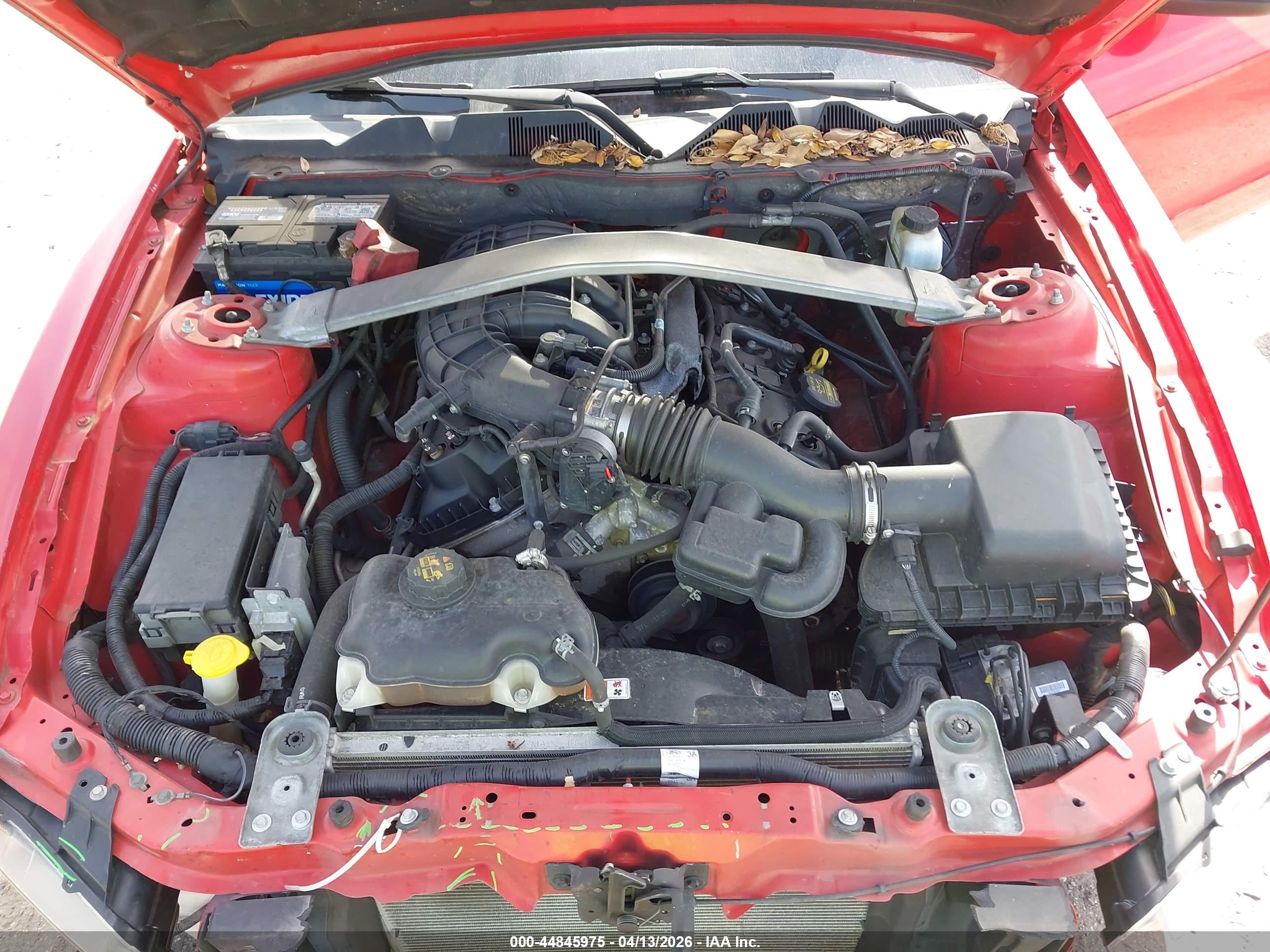 FORD MUSTANG image 10