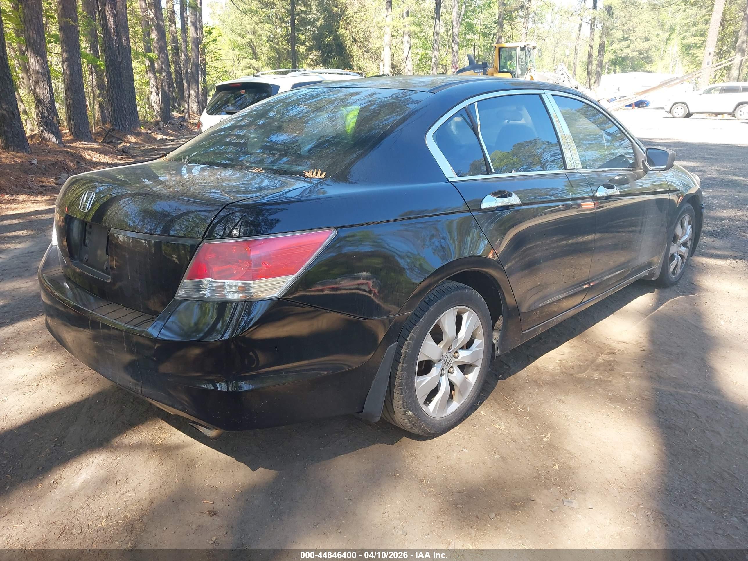 HONDA ACCORD image 4