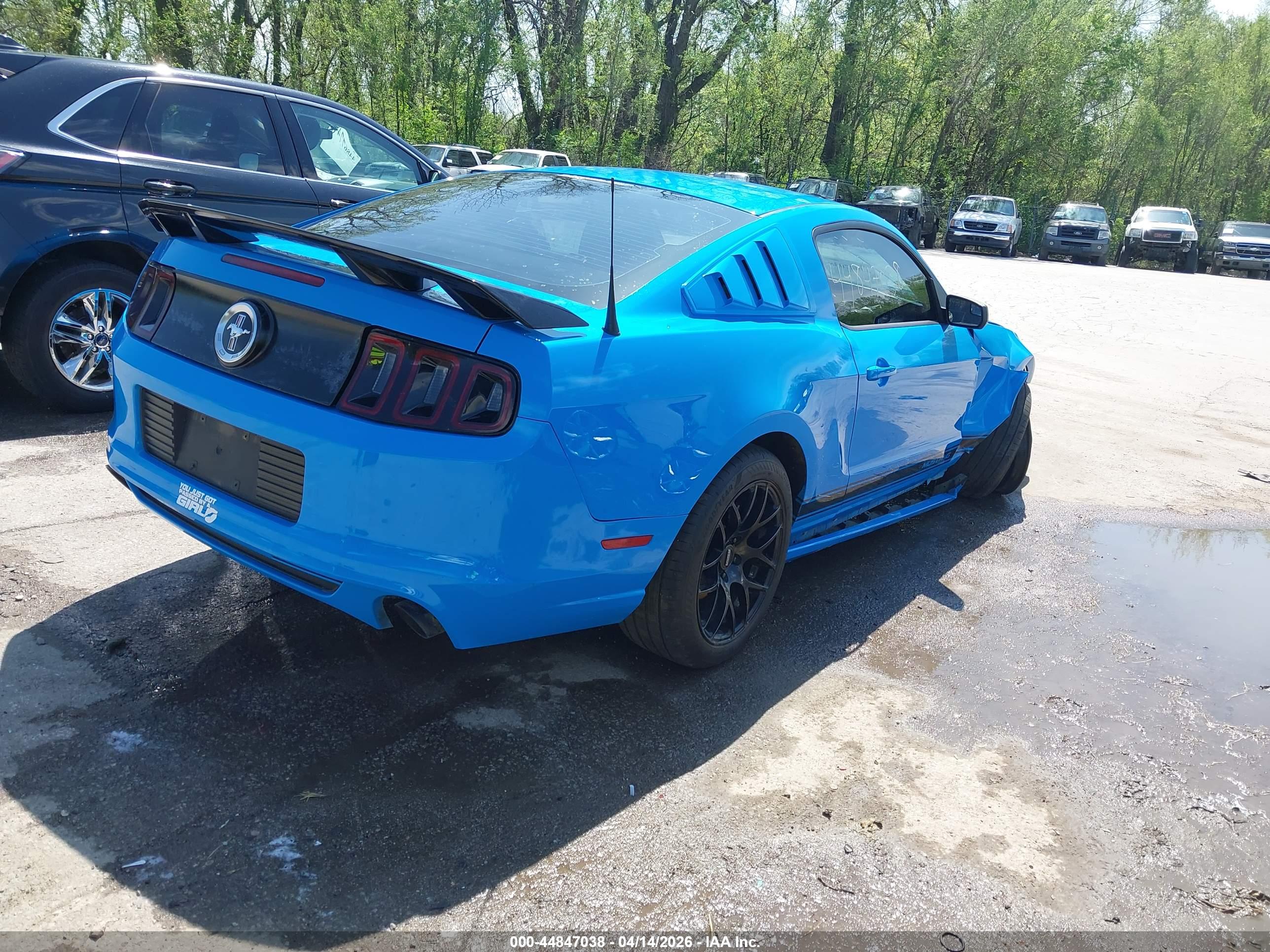 FORD MUSTANG image 4