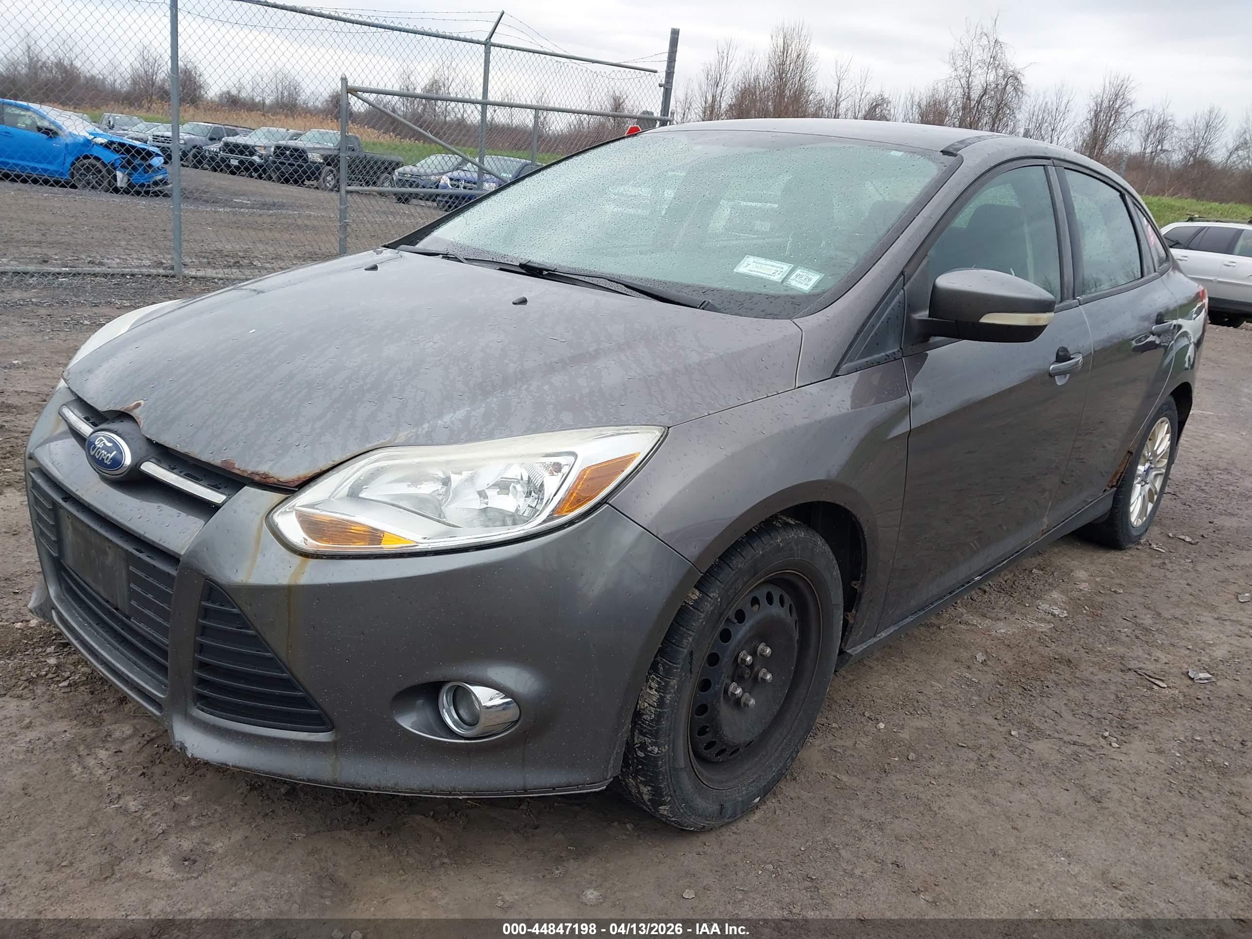 FORD FOCUS image 2