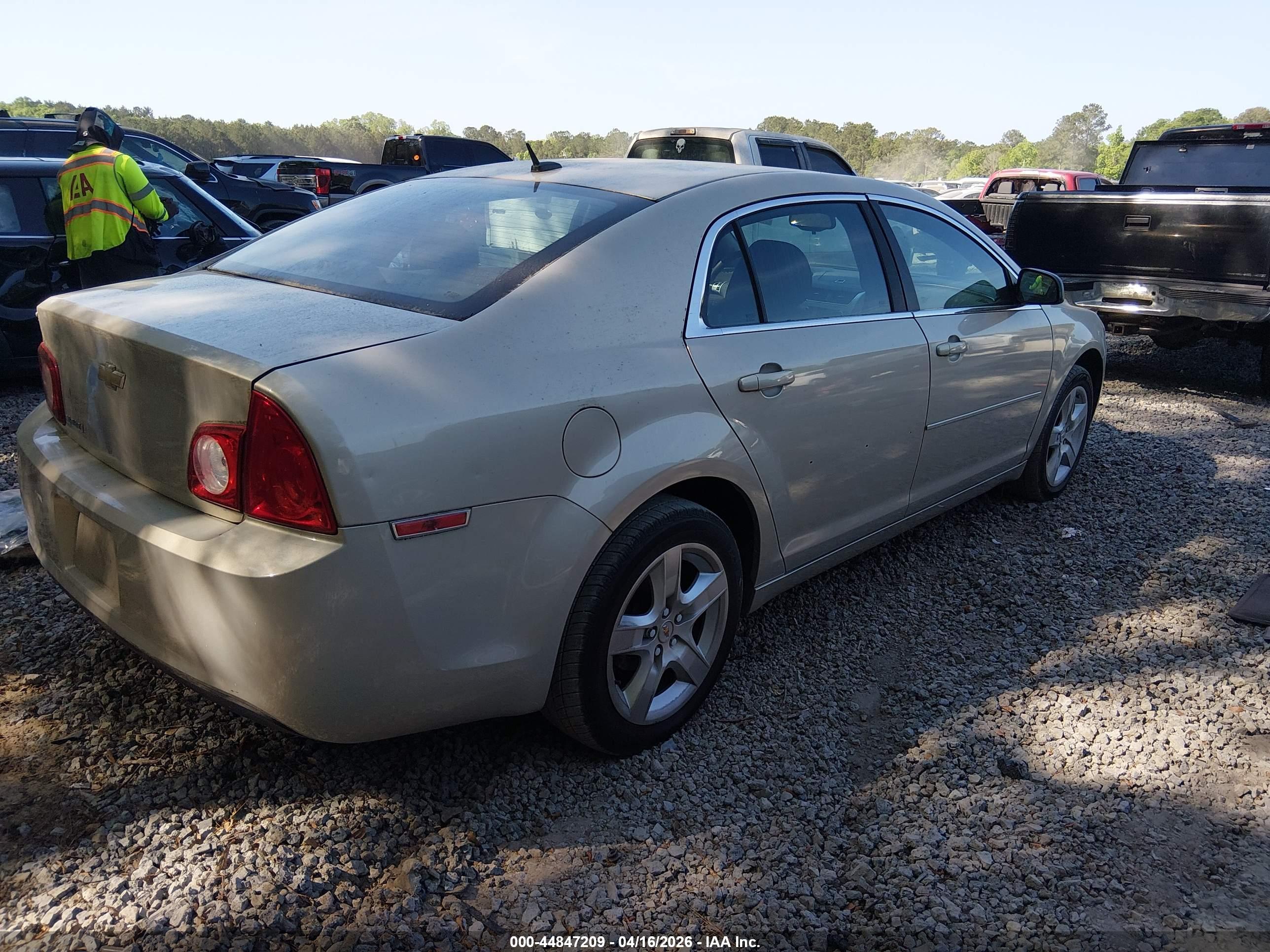 CHEVROLET MALIBU image 4