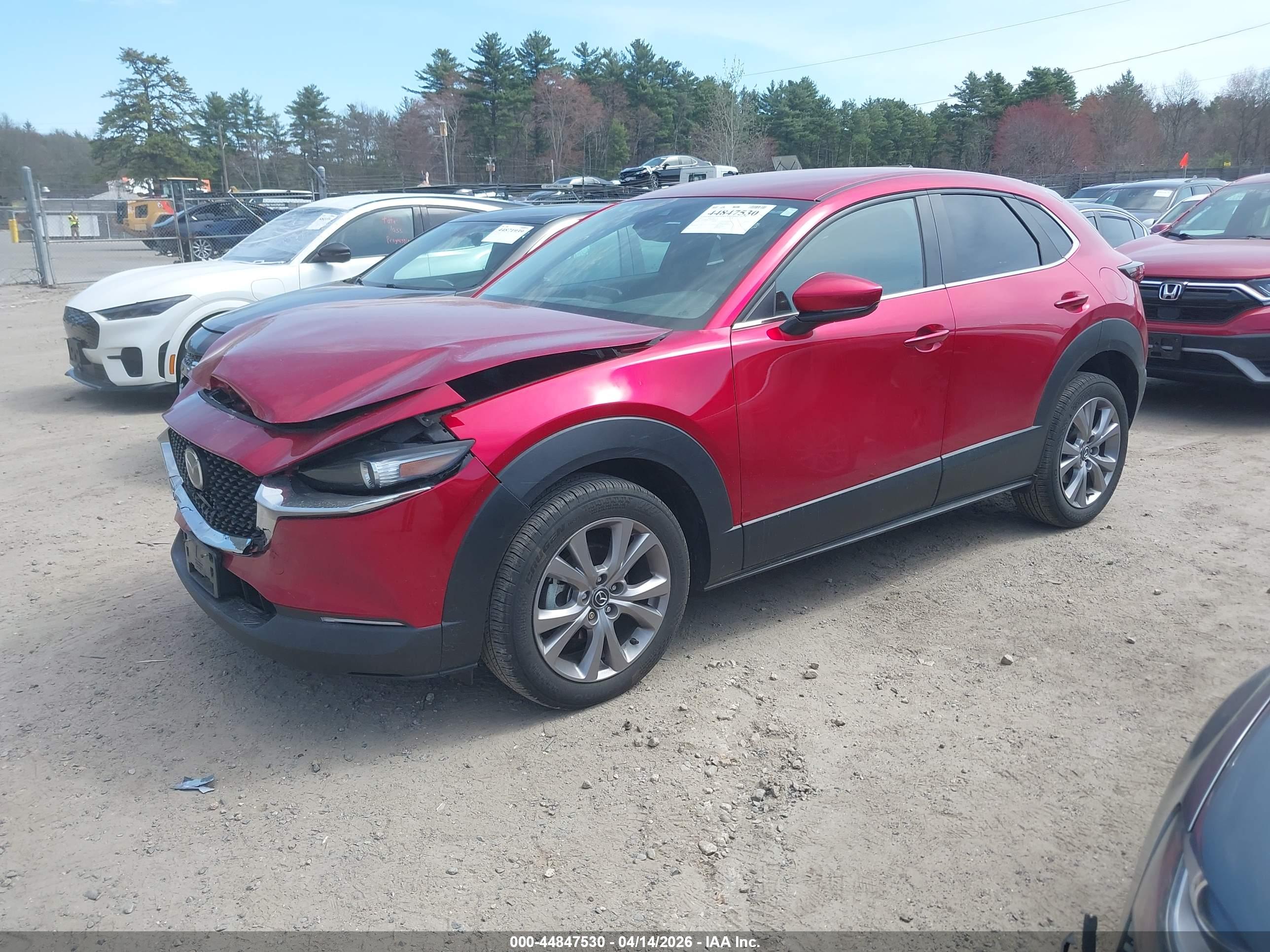 MAZDA CX-30 image 2