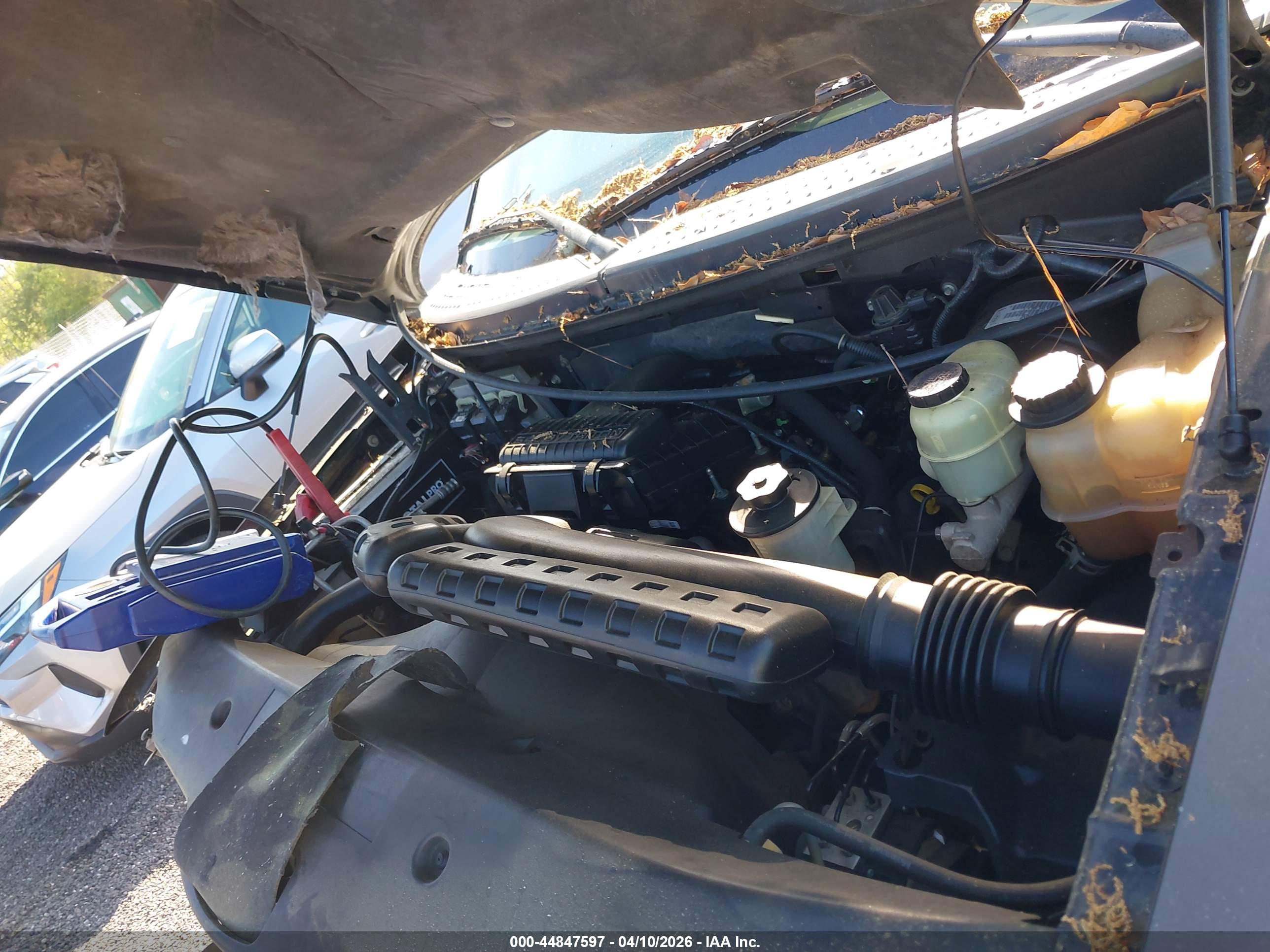 FORD F-150 image 10