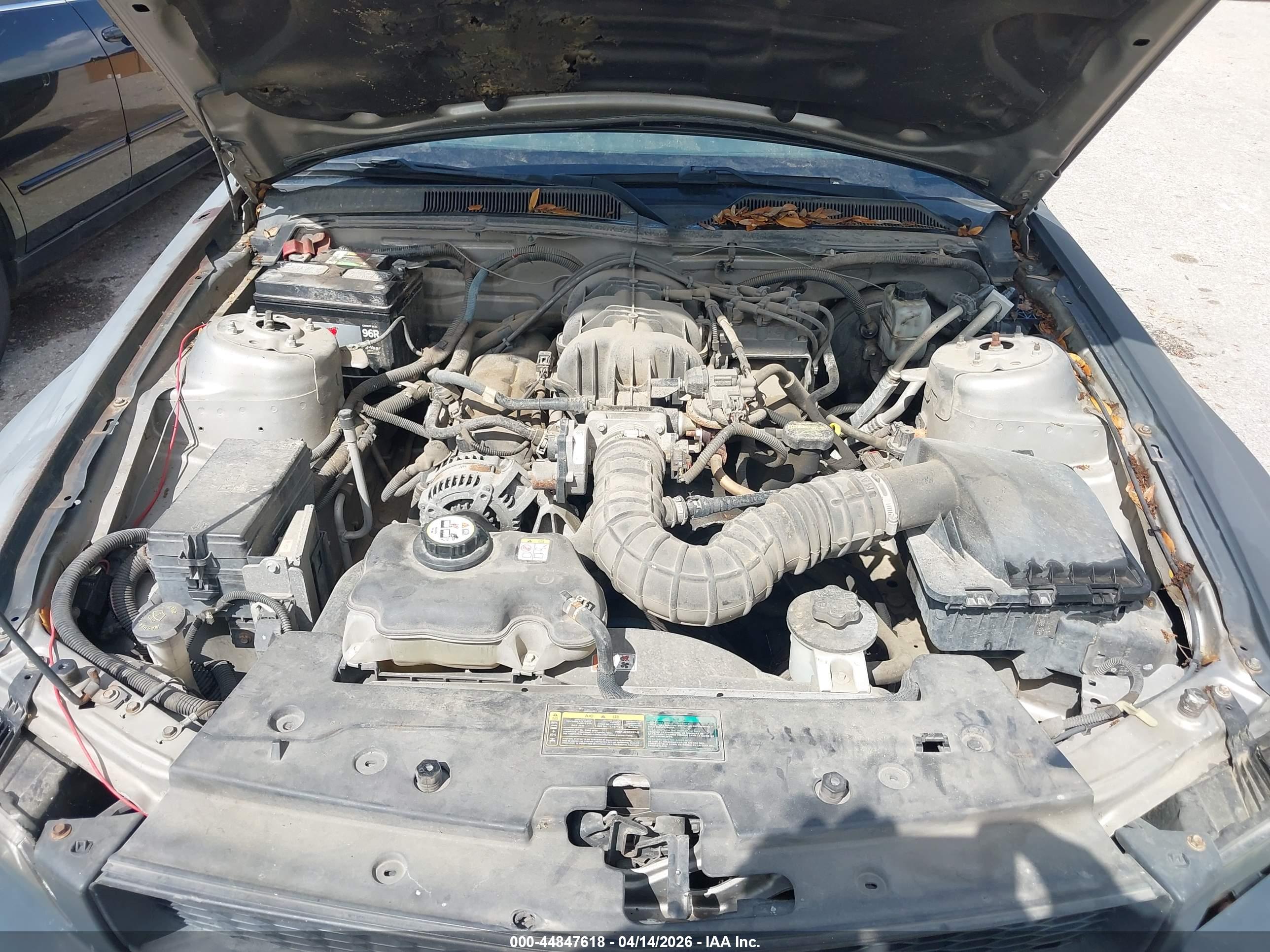 FORD MUSTANG image 10