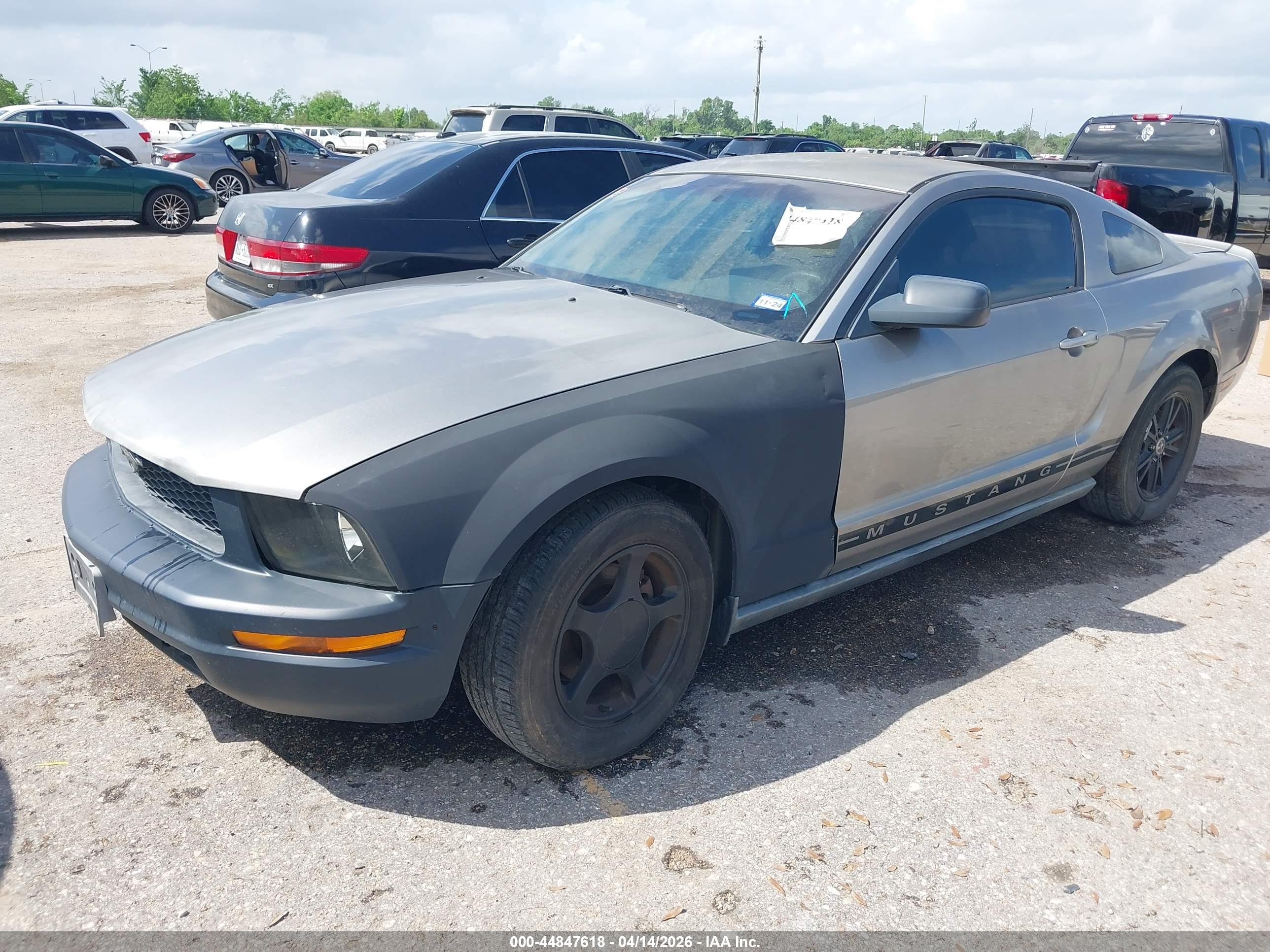 FORD MUSTANG image 2
