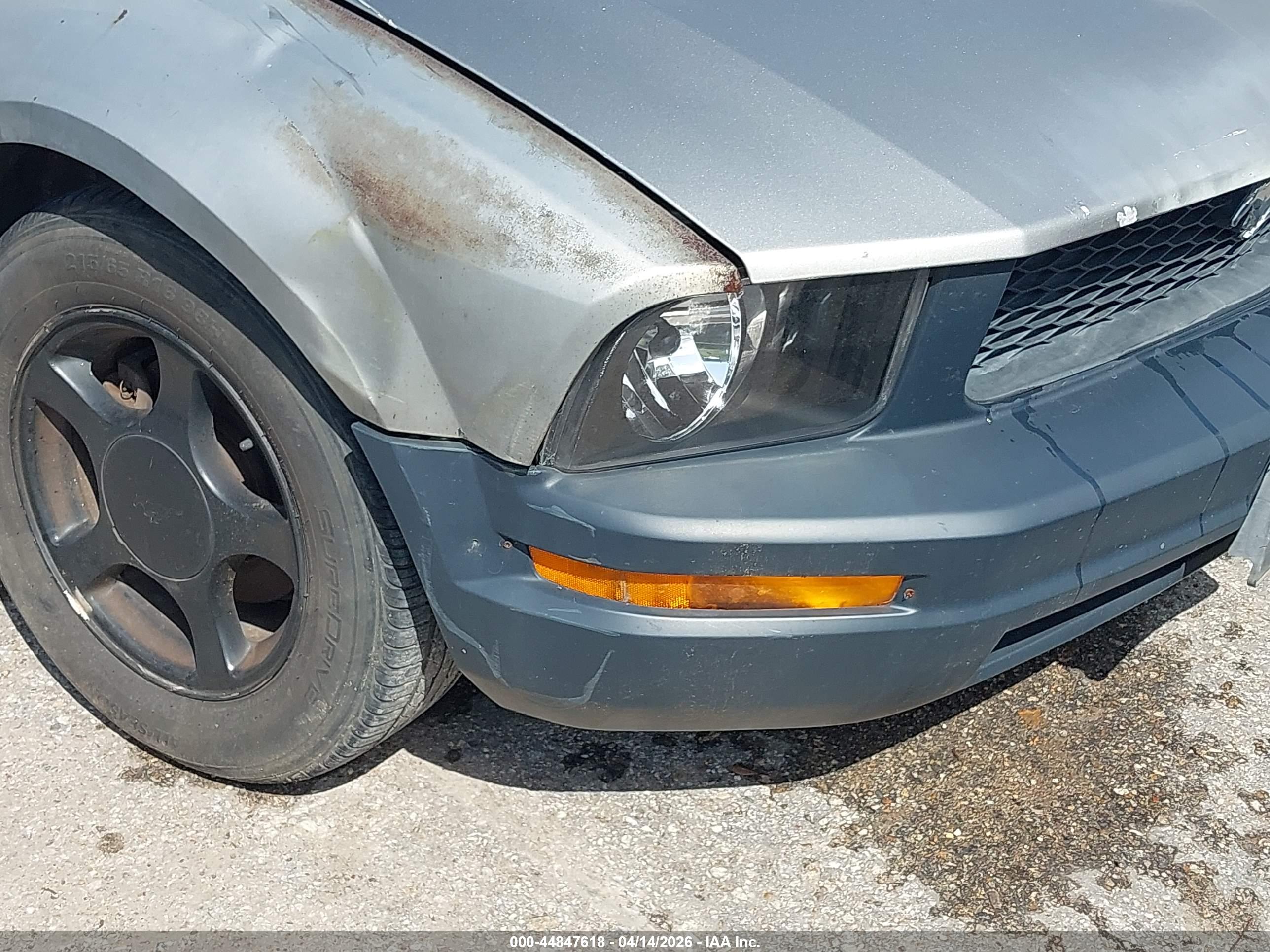 FORD MUSTANG image 6