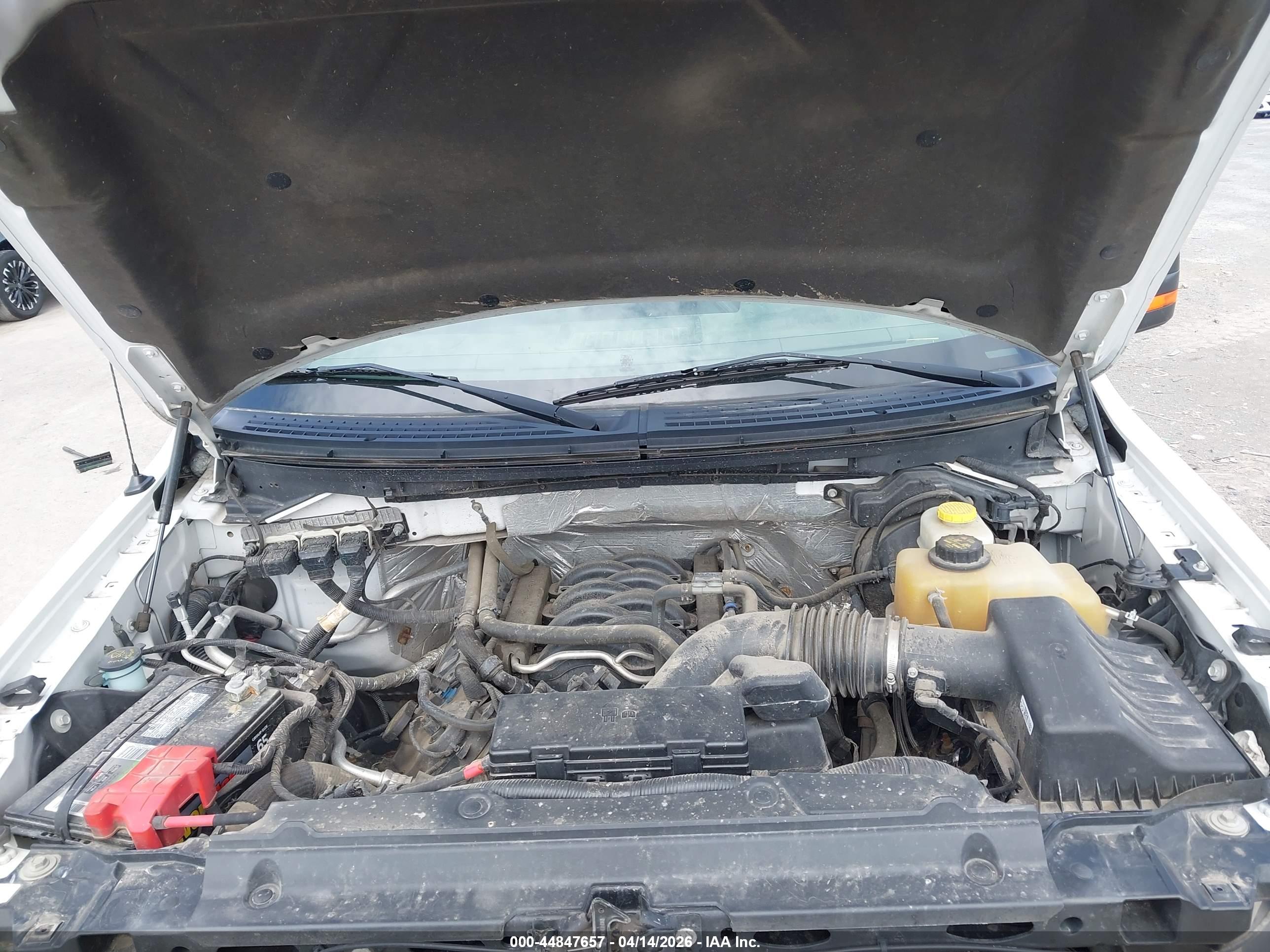 FORD F-150 image 10