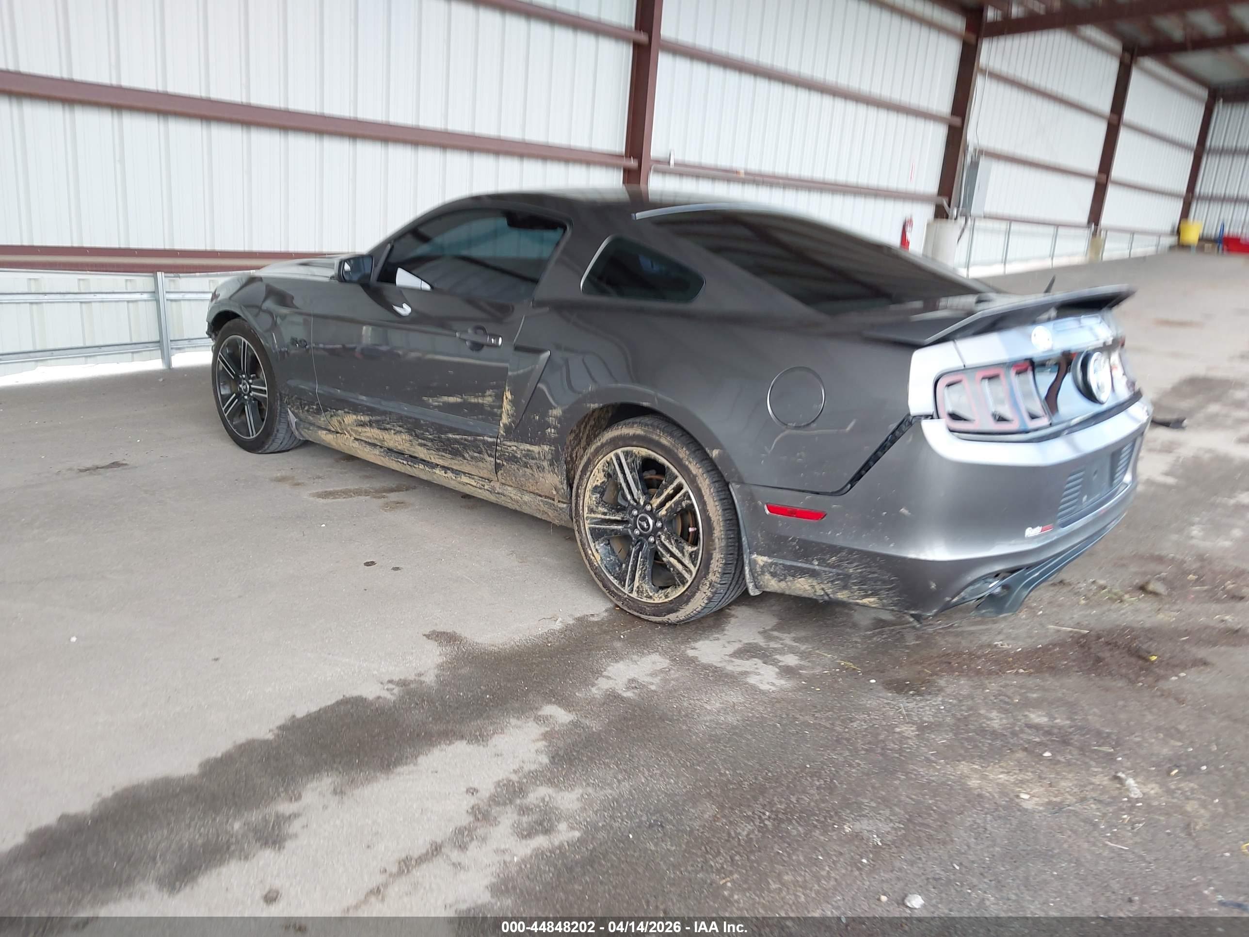 FORD MUSTANG image 3