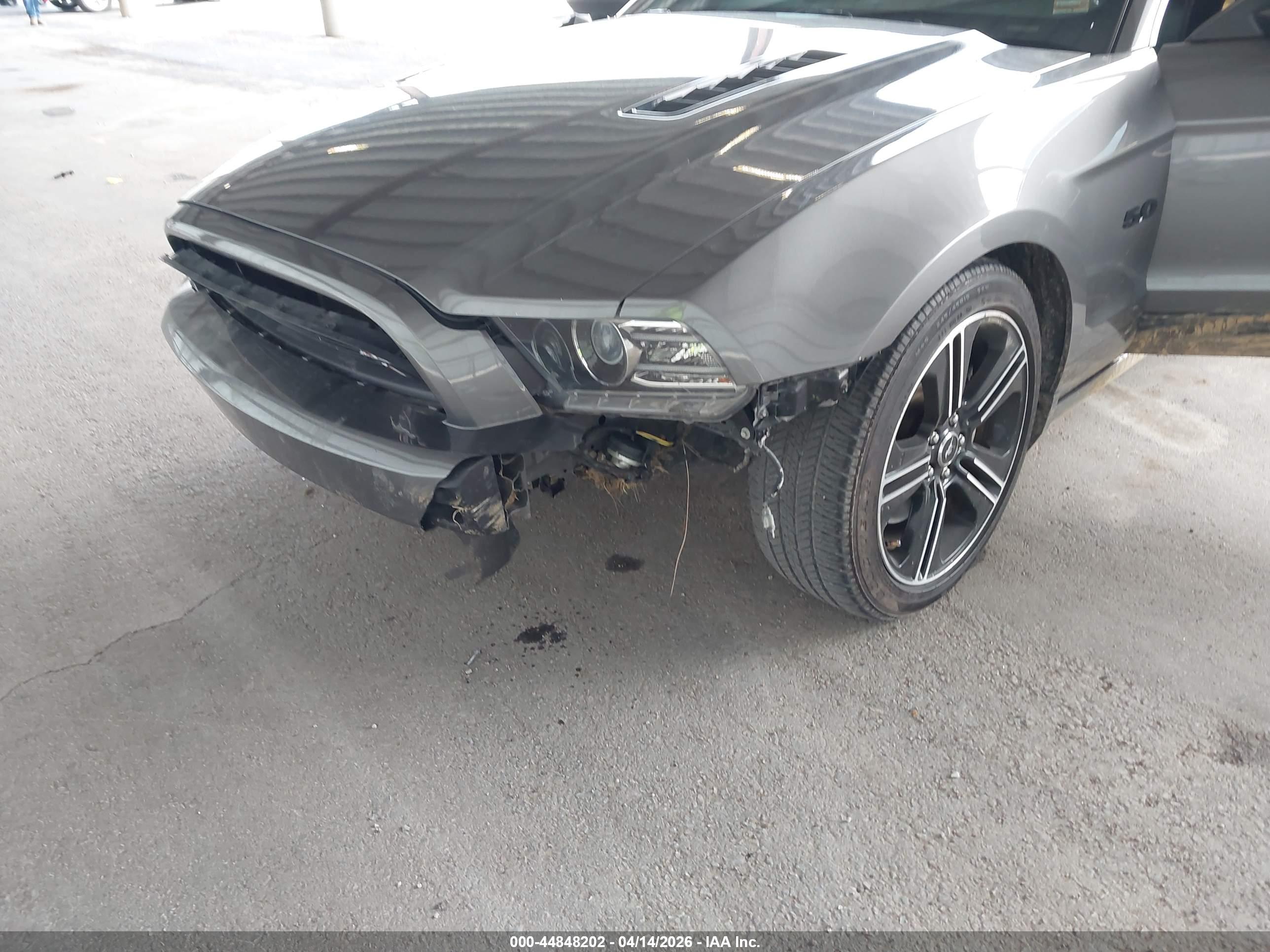 FORD MUSTANG image 6