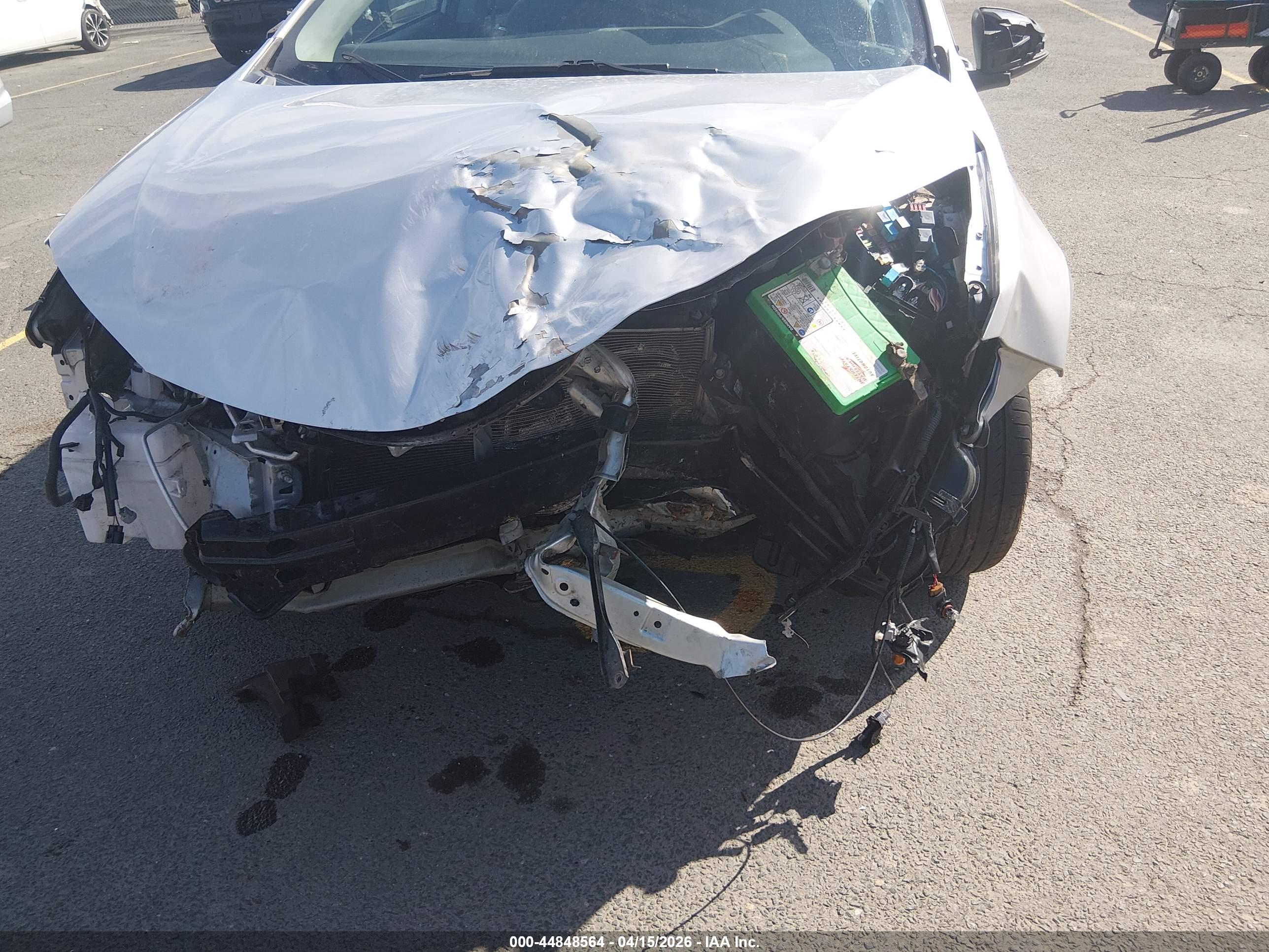 TOYOTA COROLLA image 6