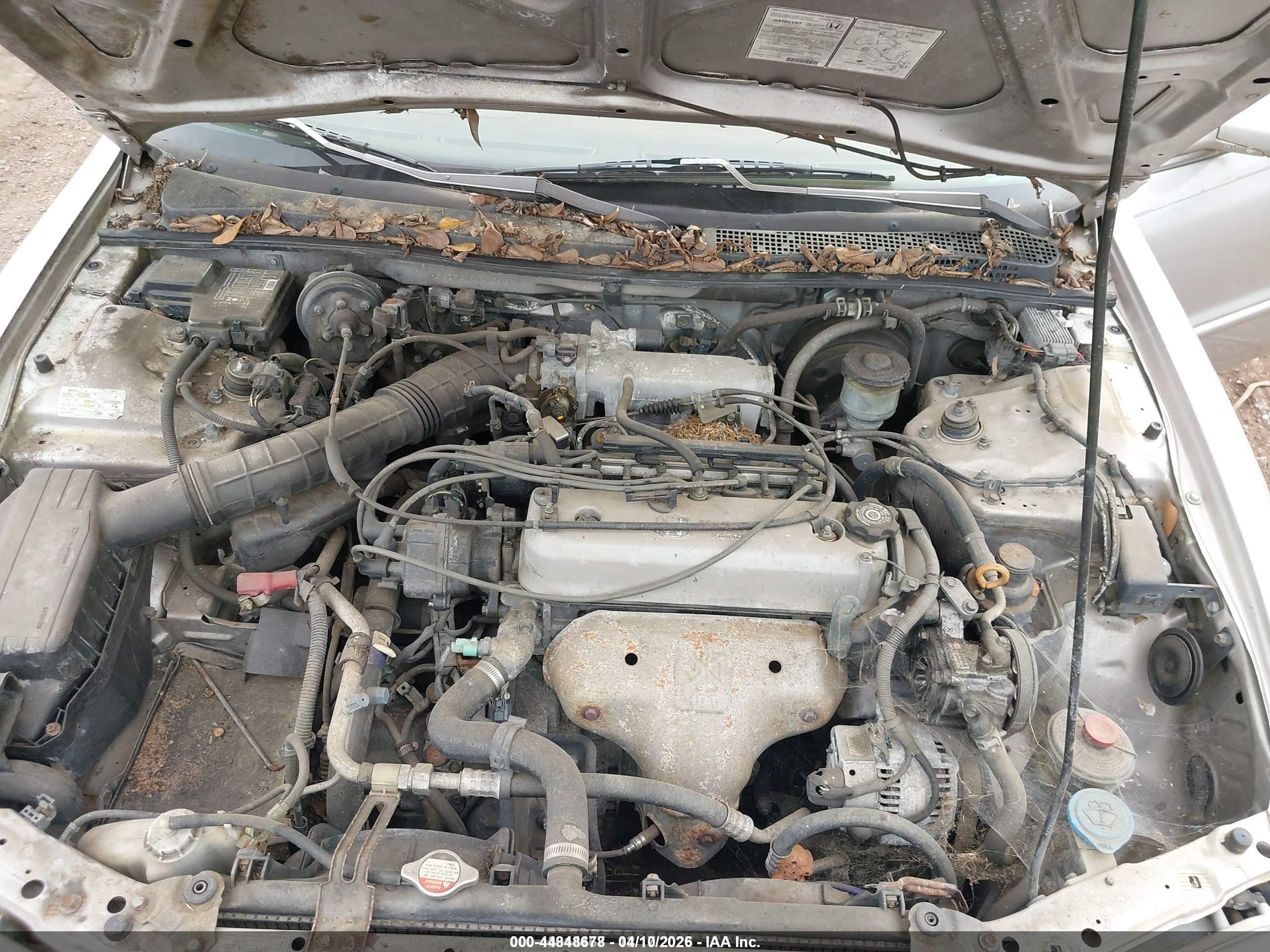 HONDA ACCORD image 10