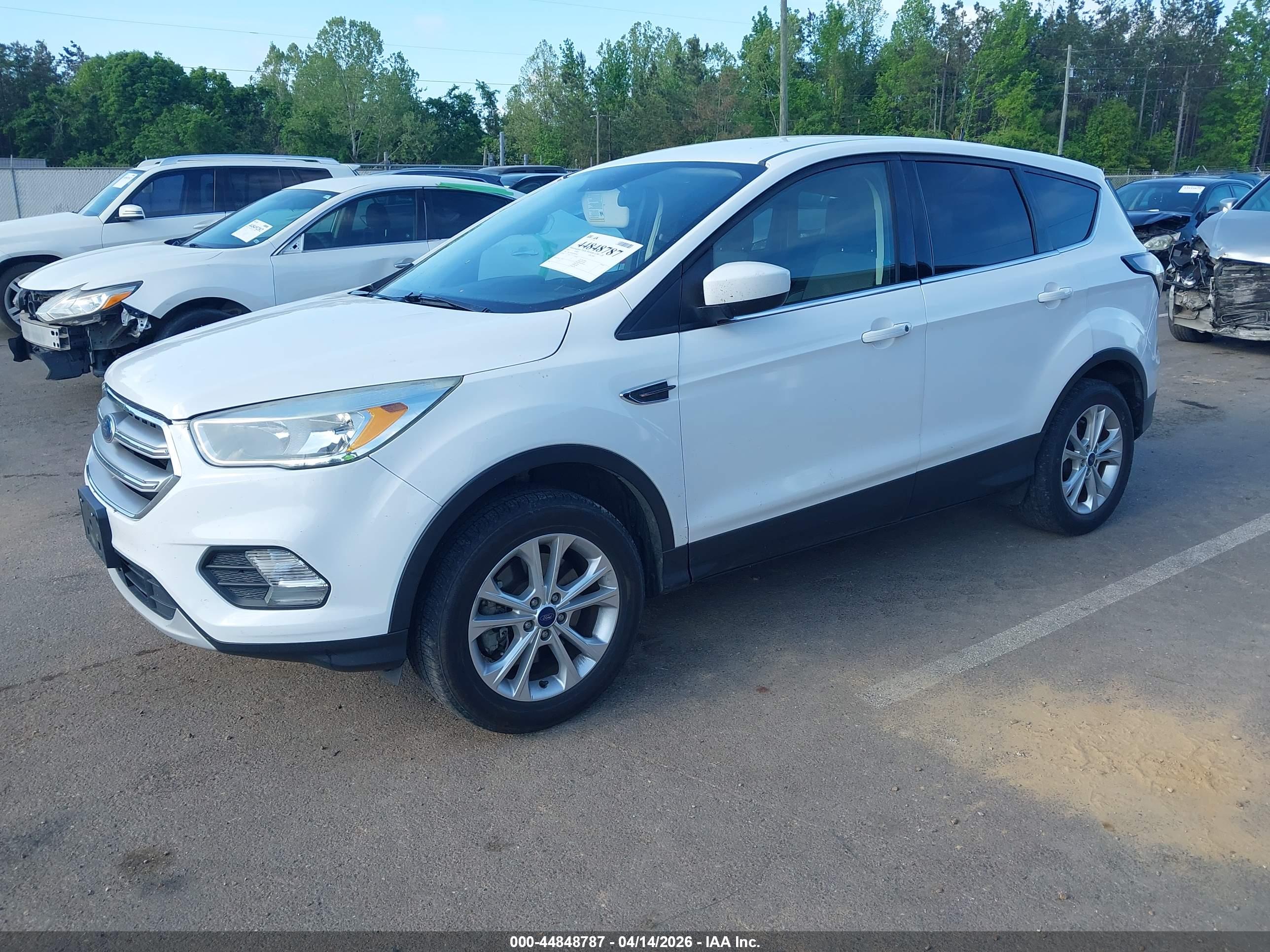 FORD ESCAPE image 2