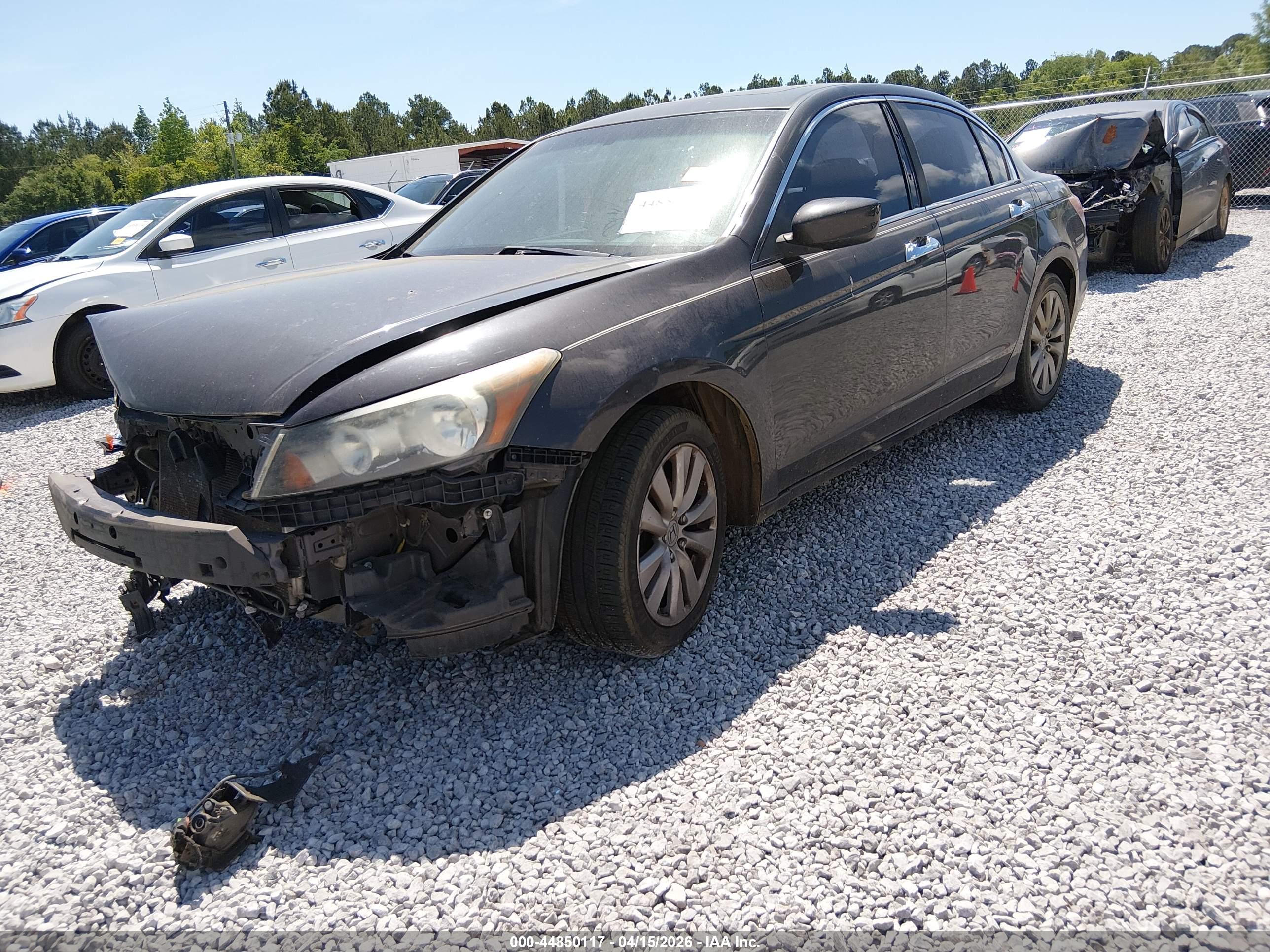 HONDA ACCORD image 2