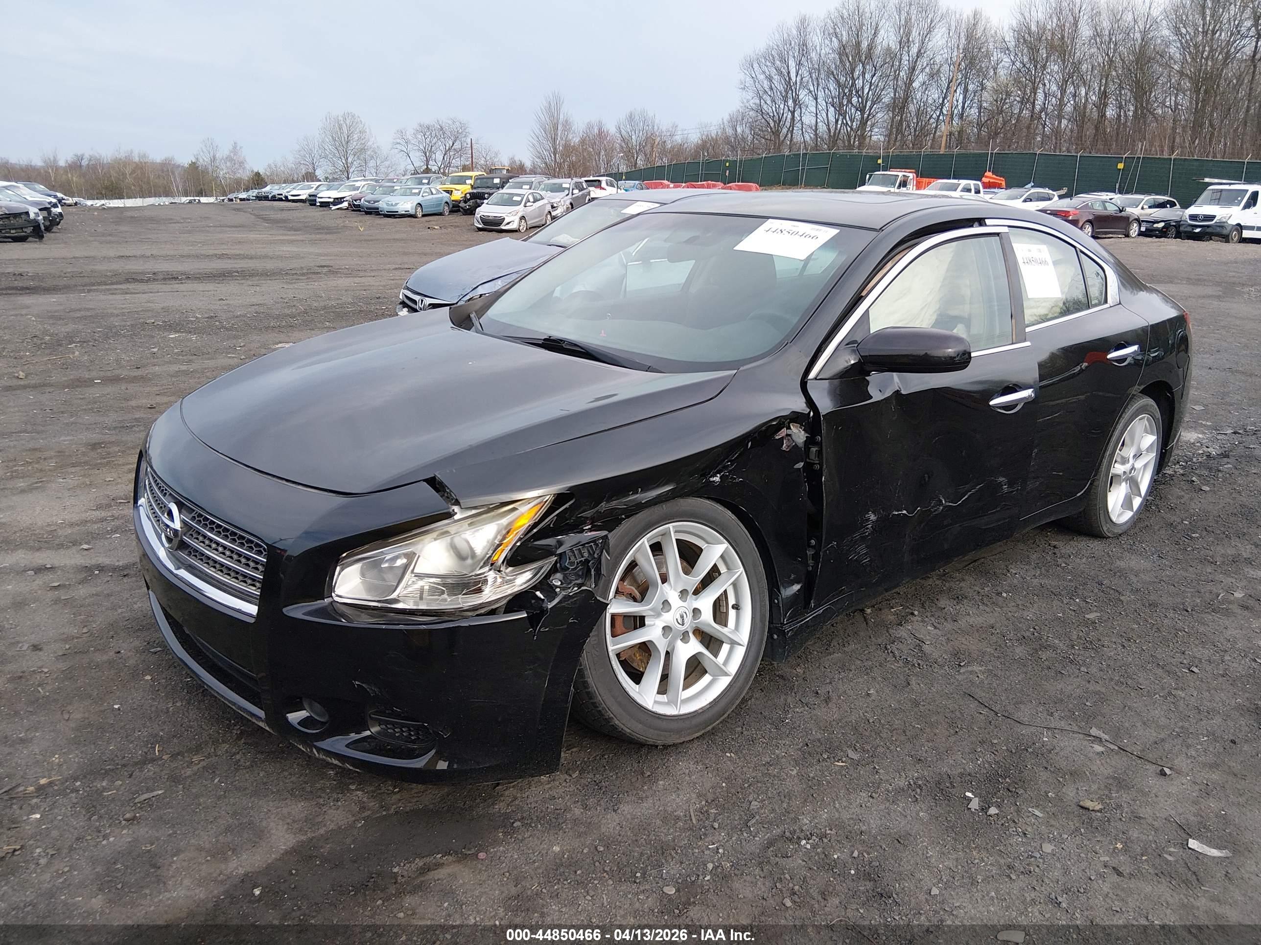 NISSAN MAXIMA image 2