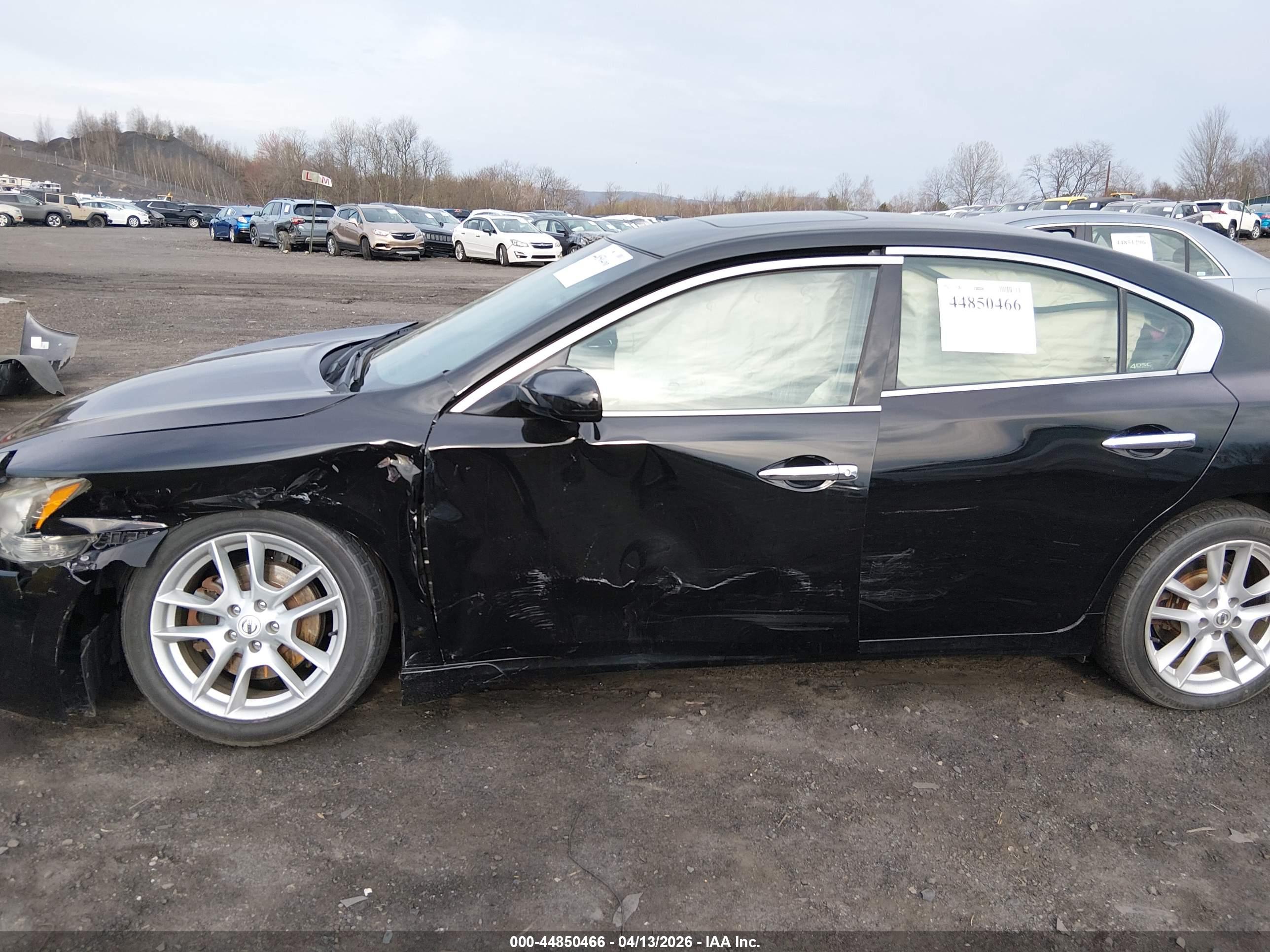 NISSAN MAXIMA image 6
