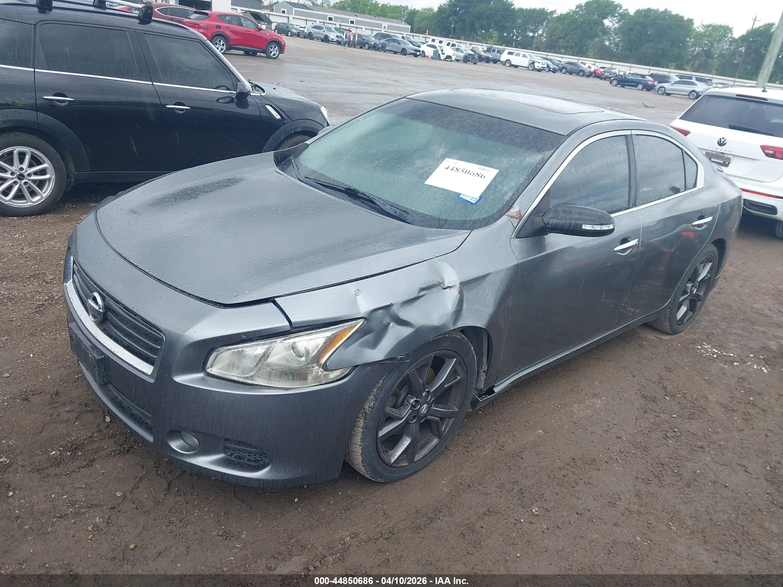 NISSAN MAXIMA image 2