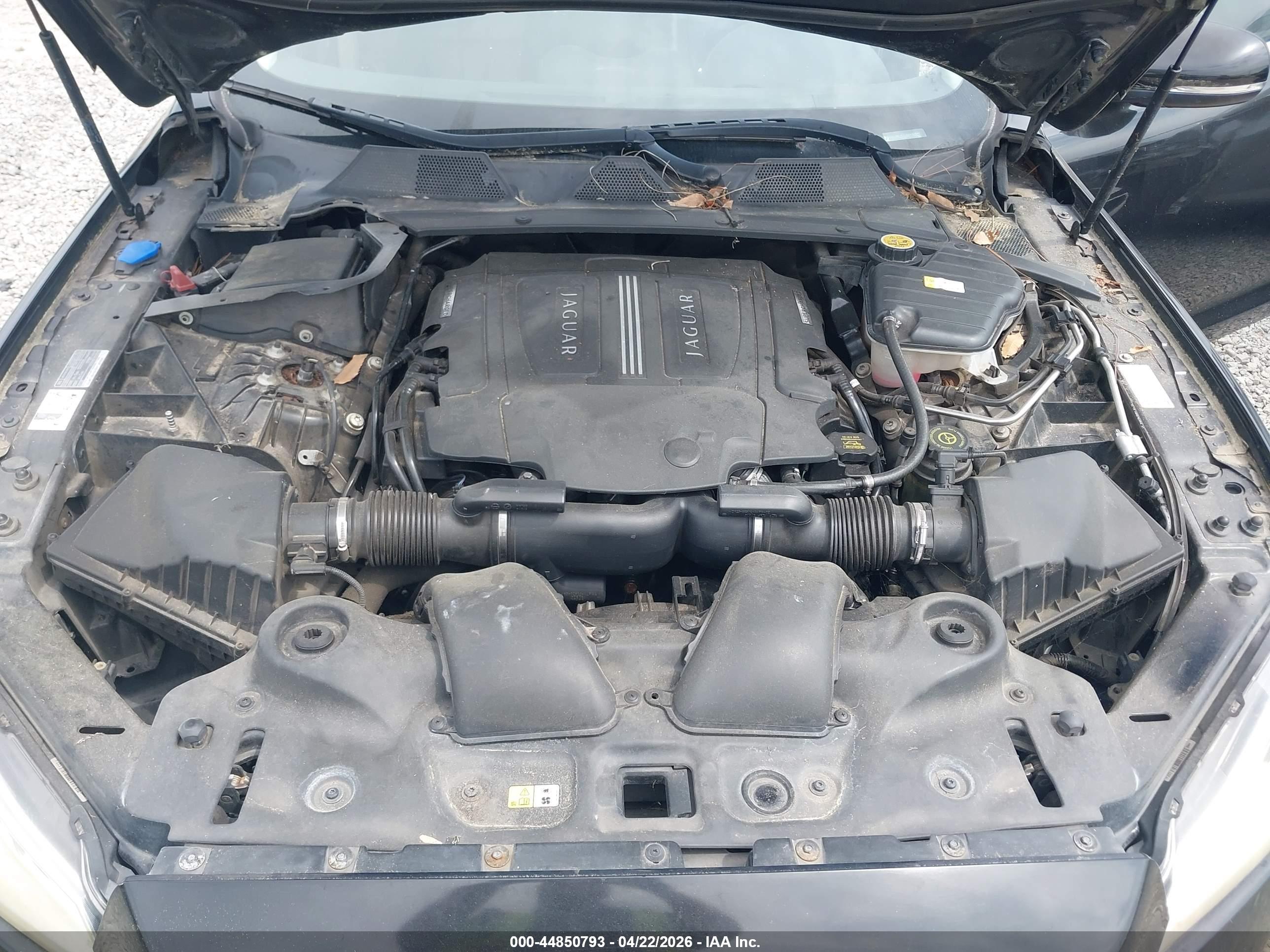 JAGUAR XJ image 10