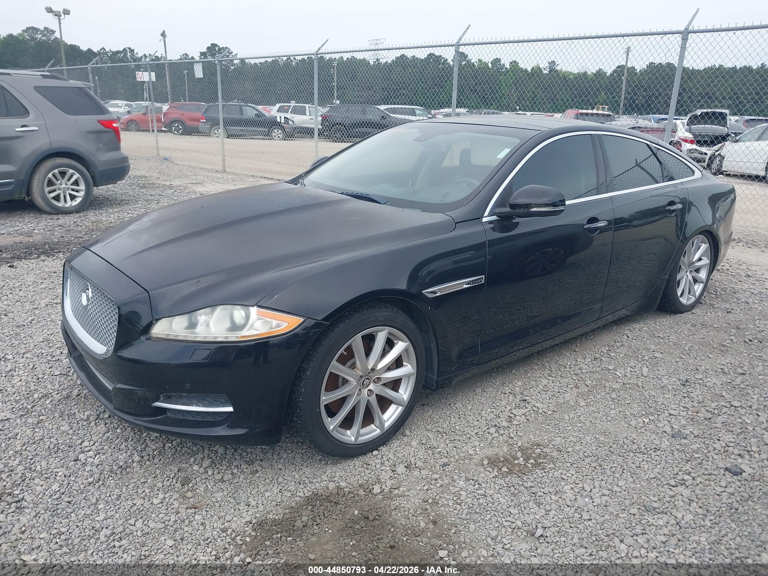 JAGUAR XJ image 2